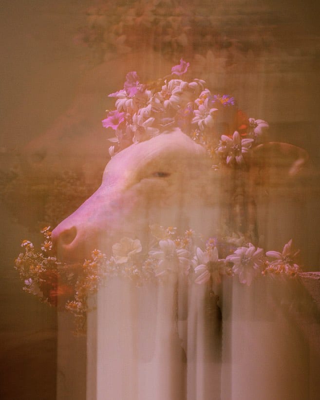 Roberto Greco, Les chiens et les Italiens, dehors! (Dogs and Italians, keep out!) #3, 2020