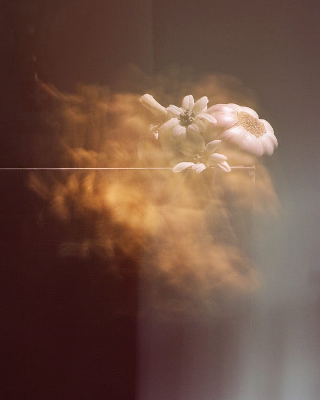 Roberto Greco, Les chiens et les Italiens, dehors! (Dogs and Italians, keep out!) #4, 2020