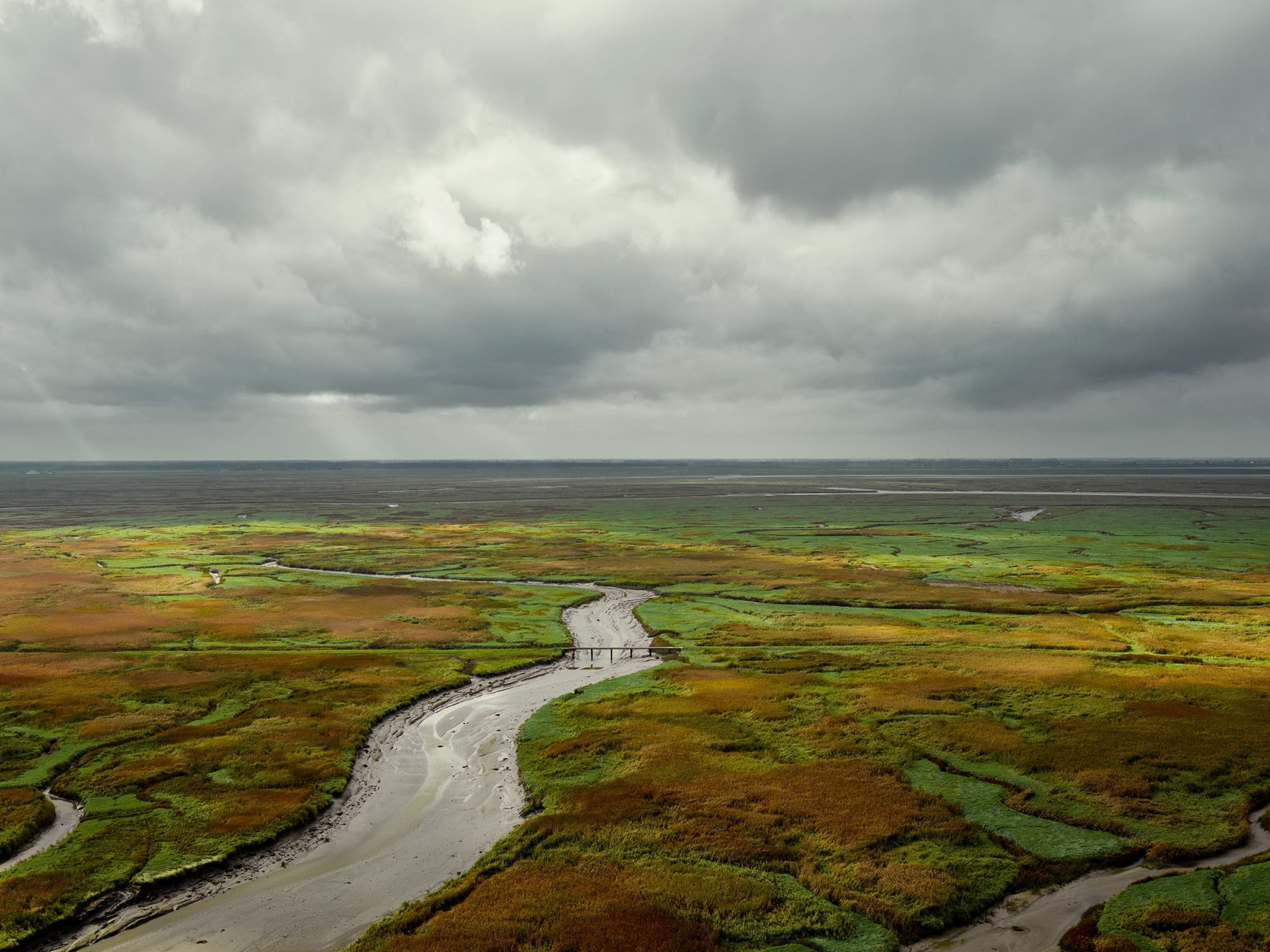 Jeroen Hofman, Bridge Saeftinghe