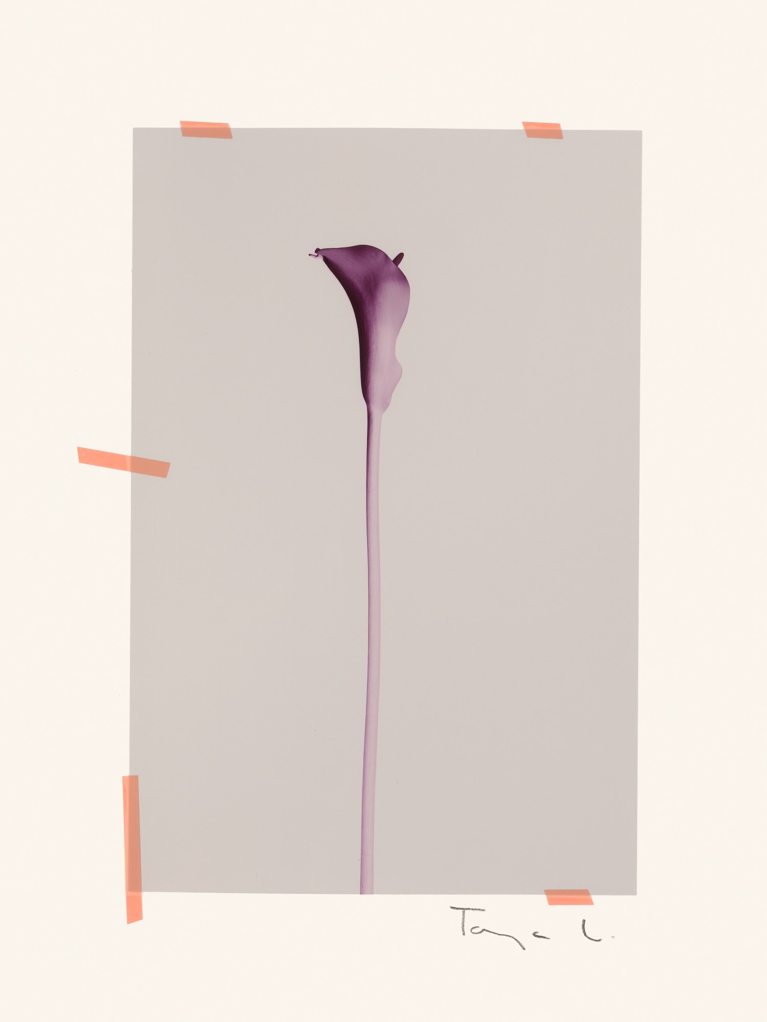 Tanja Lažetić, R#7, 2023