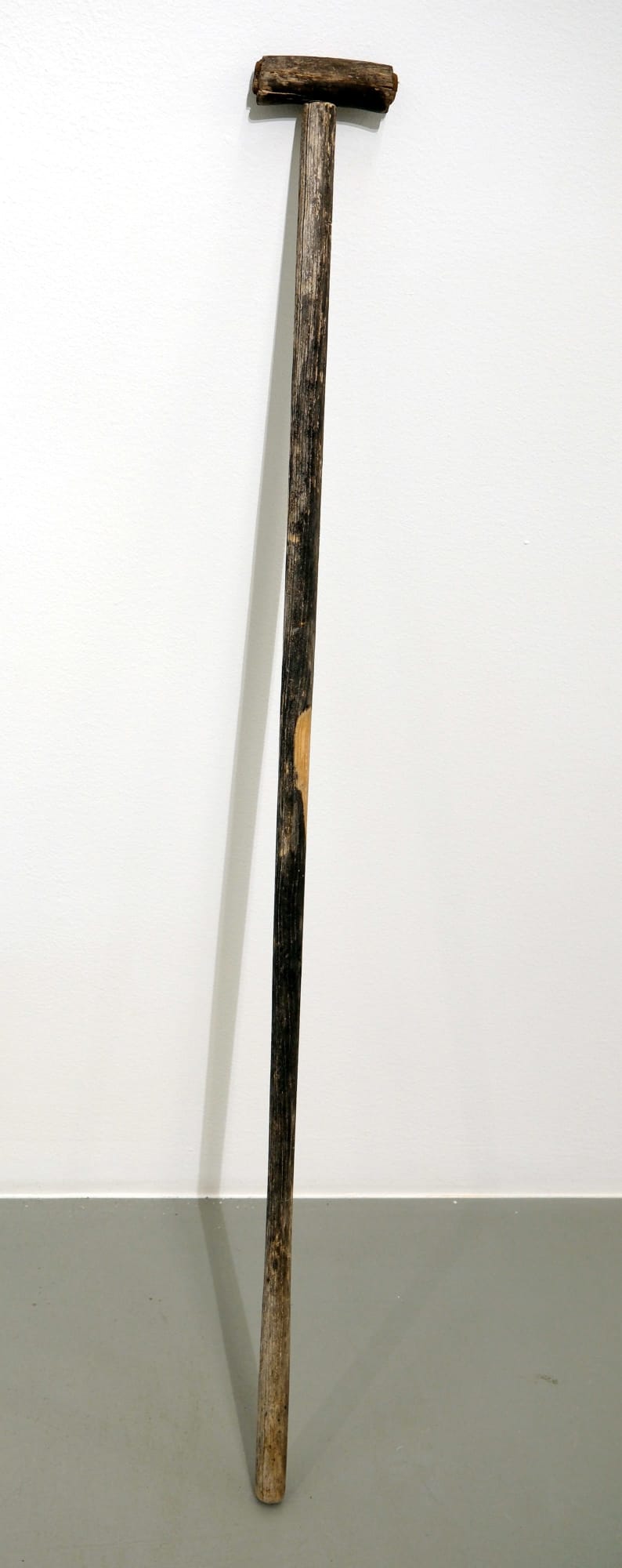 Isa Andersson, Knoga, 2024