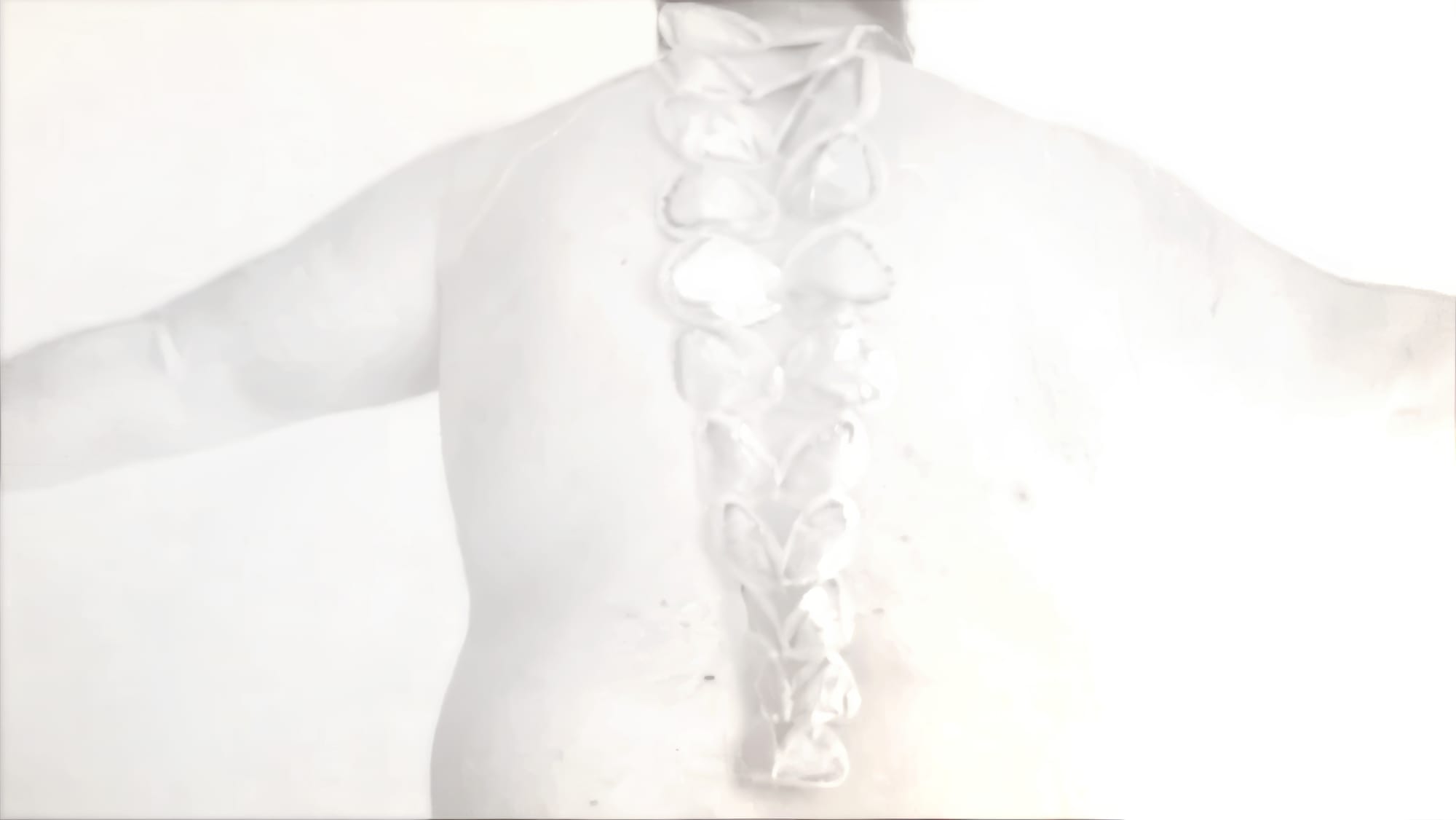 Joanne Grüne-Yanoff, Cassandra's Spine, 2023