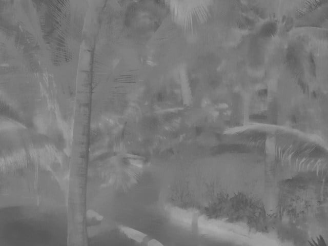 Eva-Teréz Gölin, Palmtrees.jpg, 2022