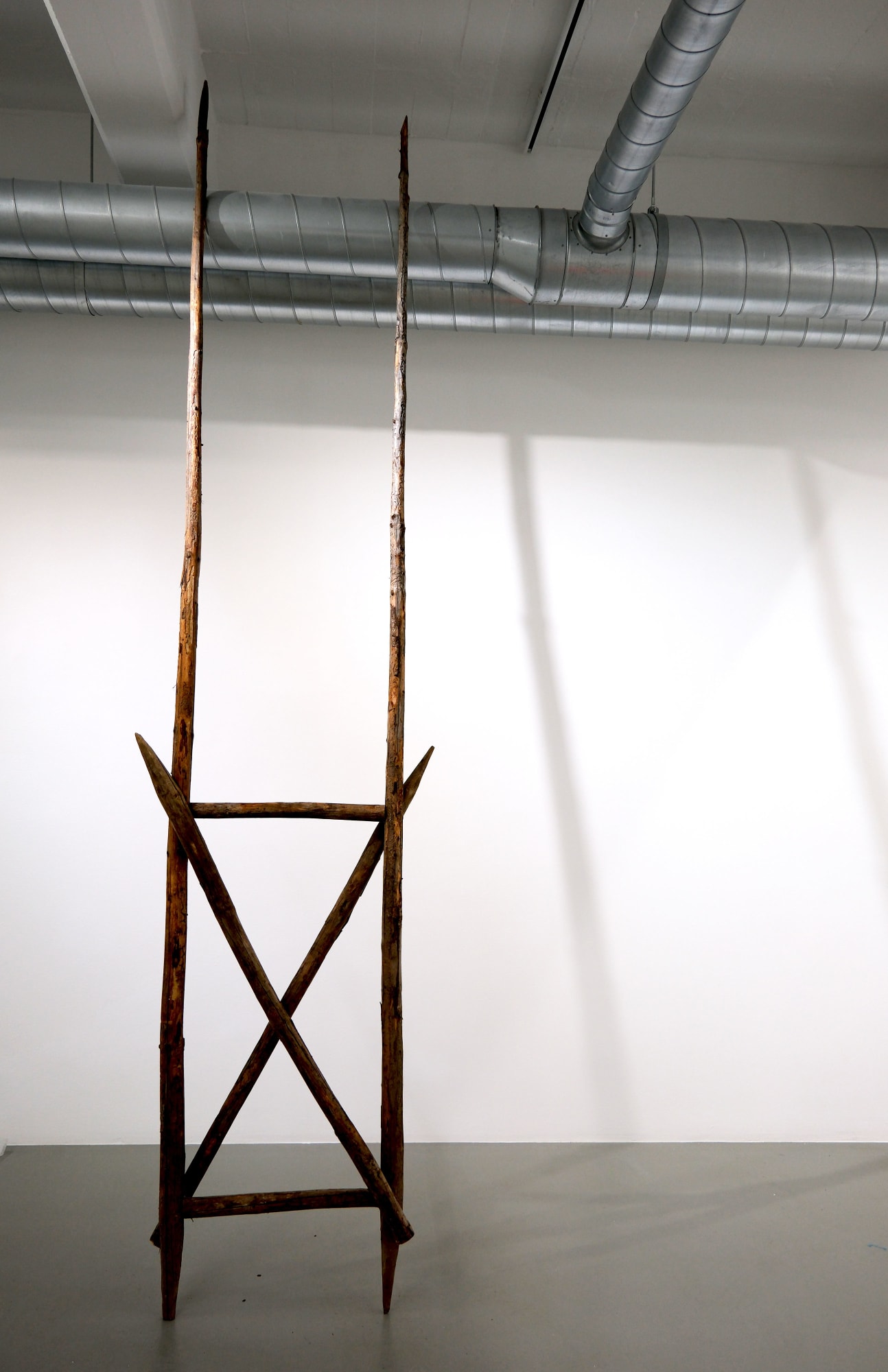 Isa Andersson, Stavgång / Nordic Walking, 2024