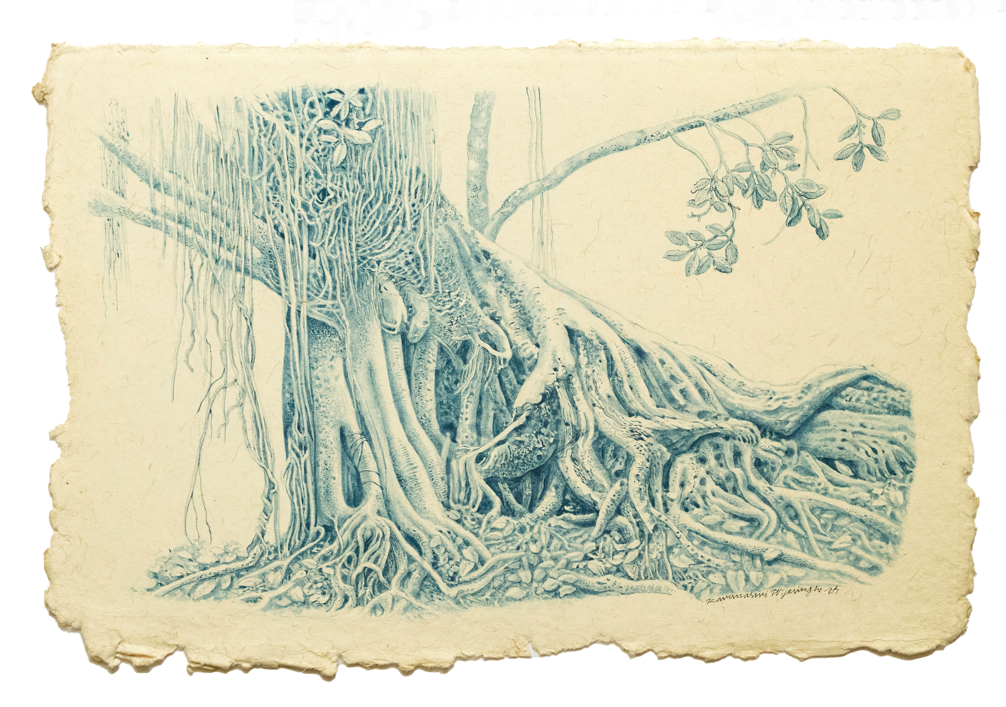 Karunasiri Wijesinghe, Banyan Tree- Viharamahadevi Park, Colombo, 2024