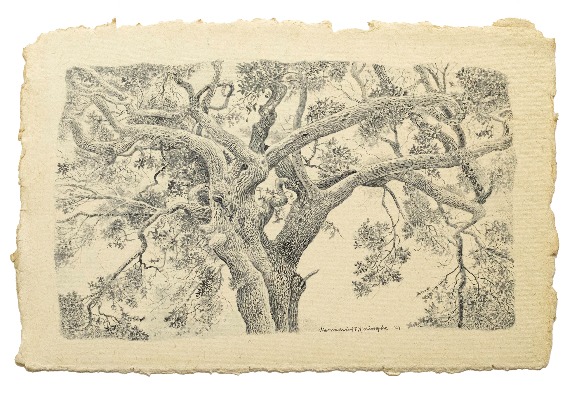 Karunasiri Wijesinghe, Palu Tree - Yala, 2024