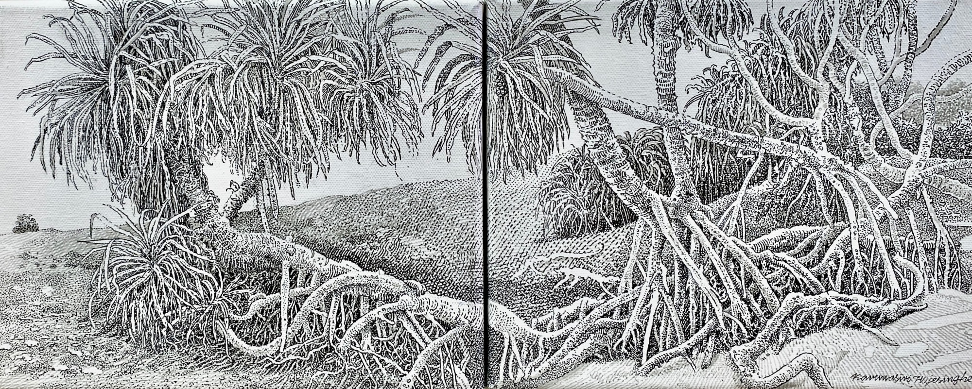Karunasiri Wijesinghe, Pandanus Forest - Balapitiya , 2024