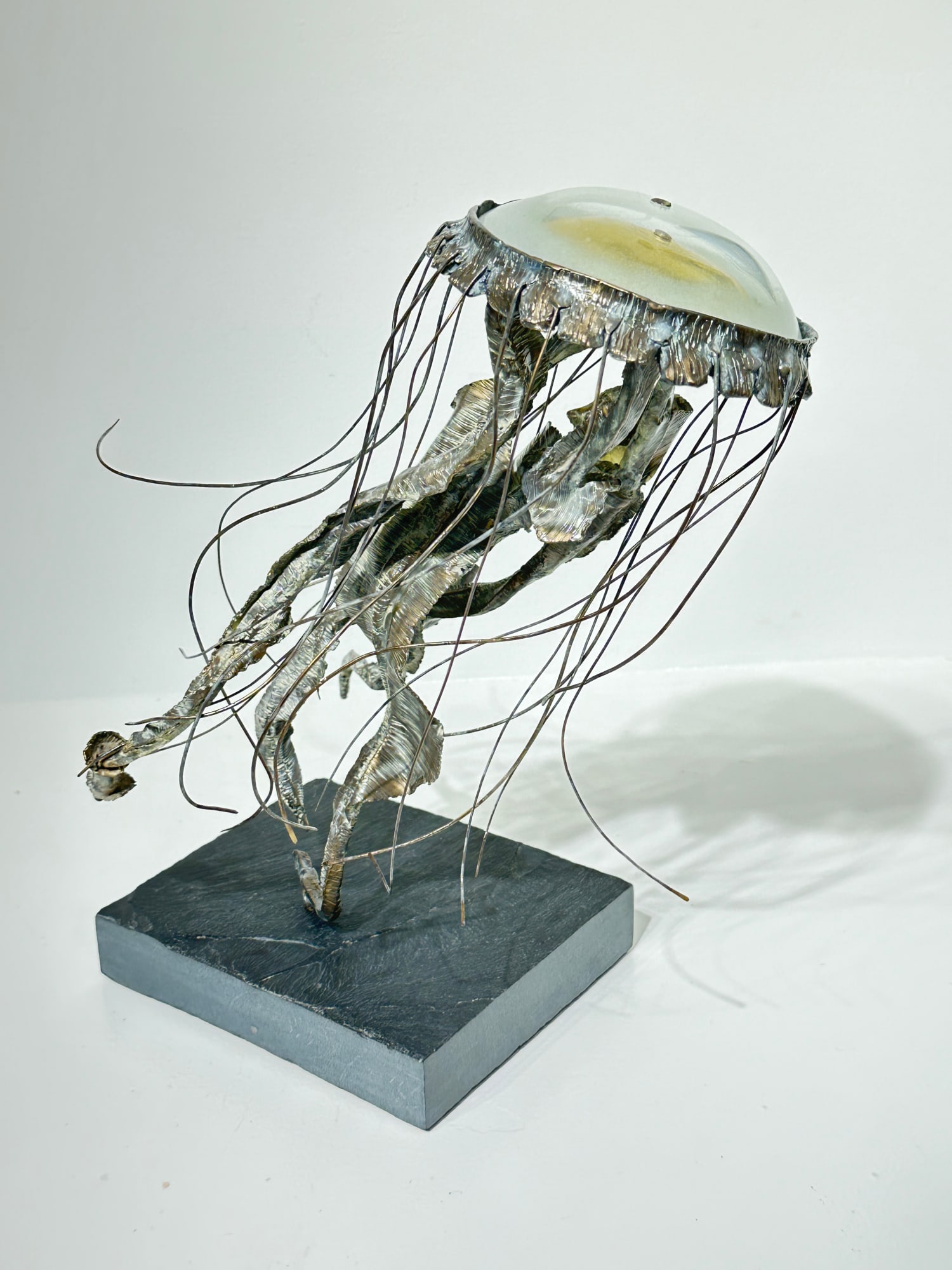 Basha Olson, Ayla the Scyphozoa, 2023