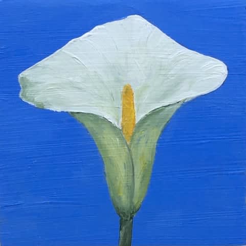 Roberta Greany, Lirio de Cala, 2022