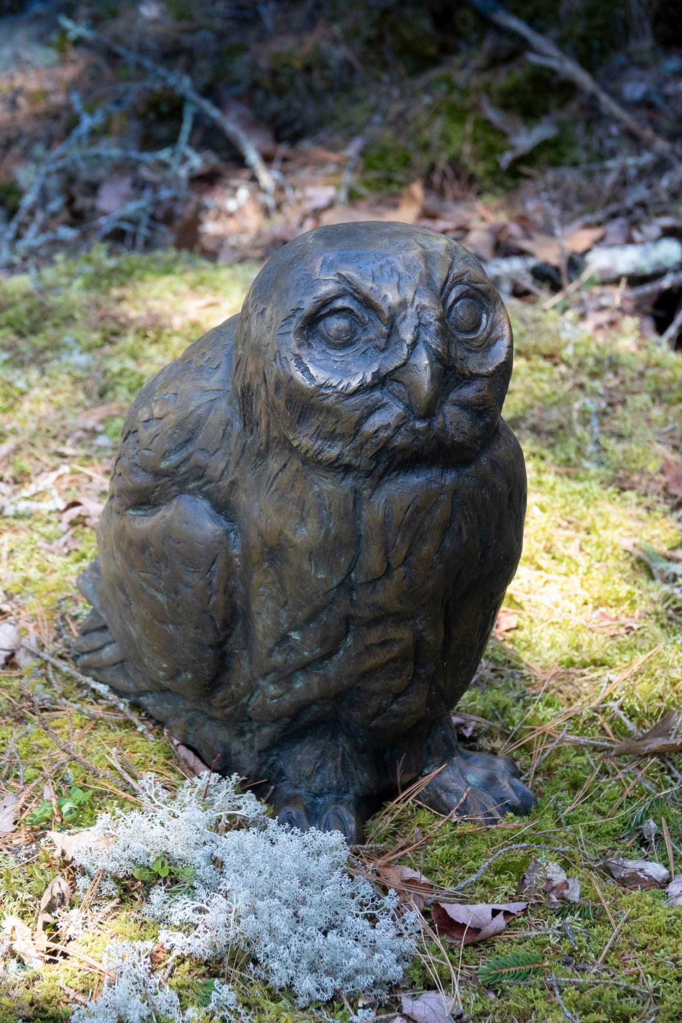 Rebekah Raye, Night Poet , Owl, 2023