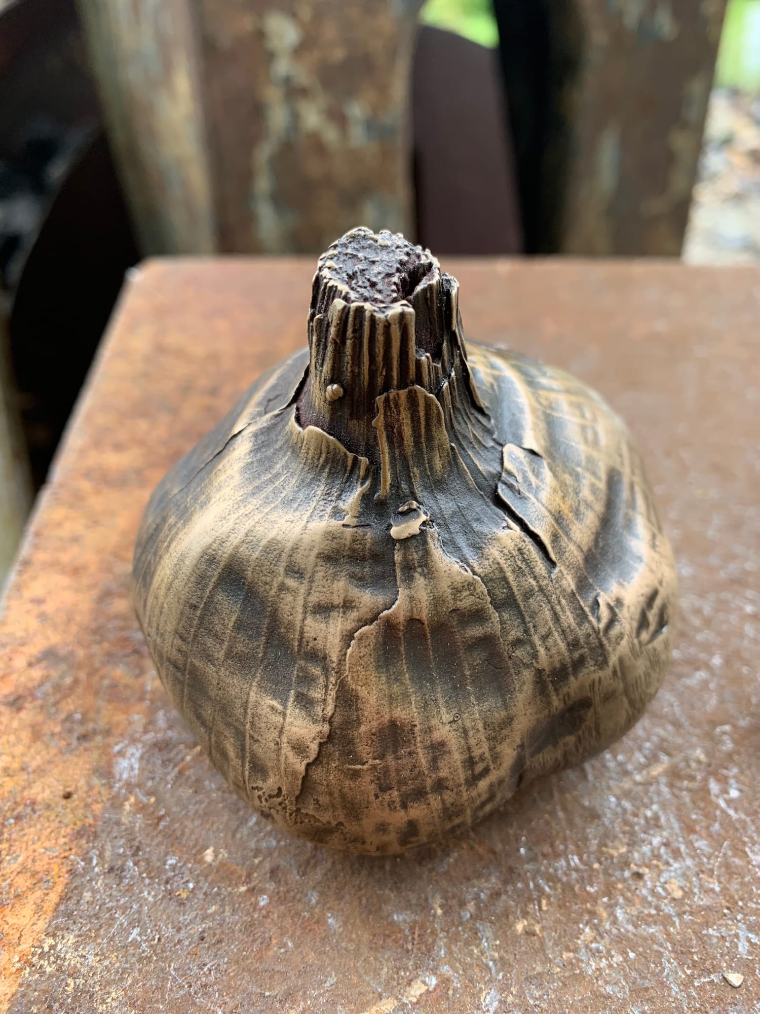 Lauren Dow, Garlic, 2022