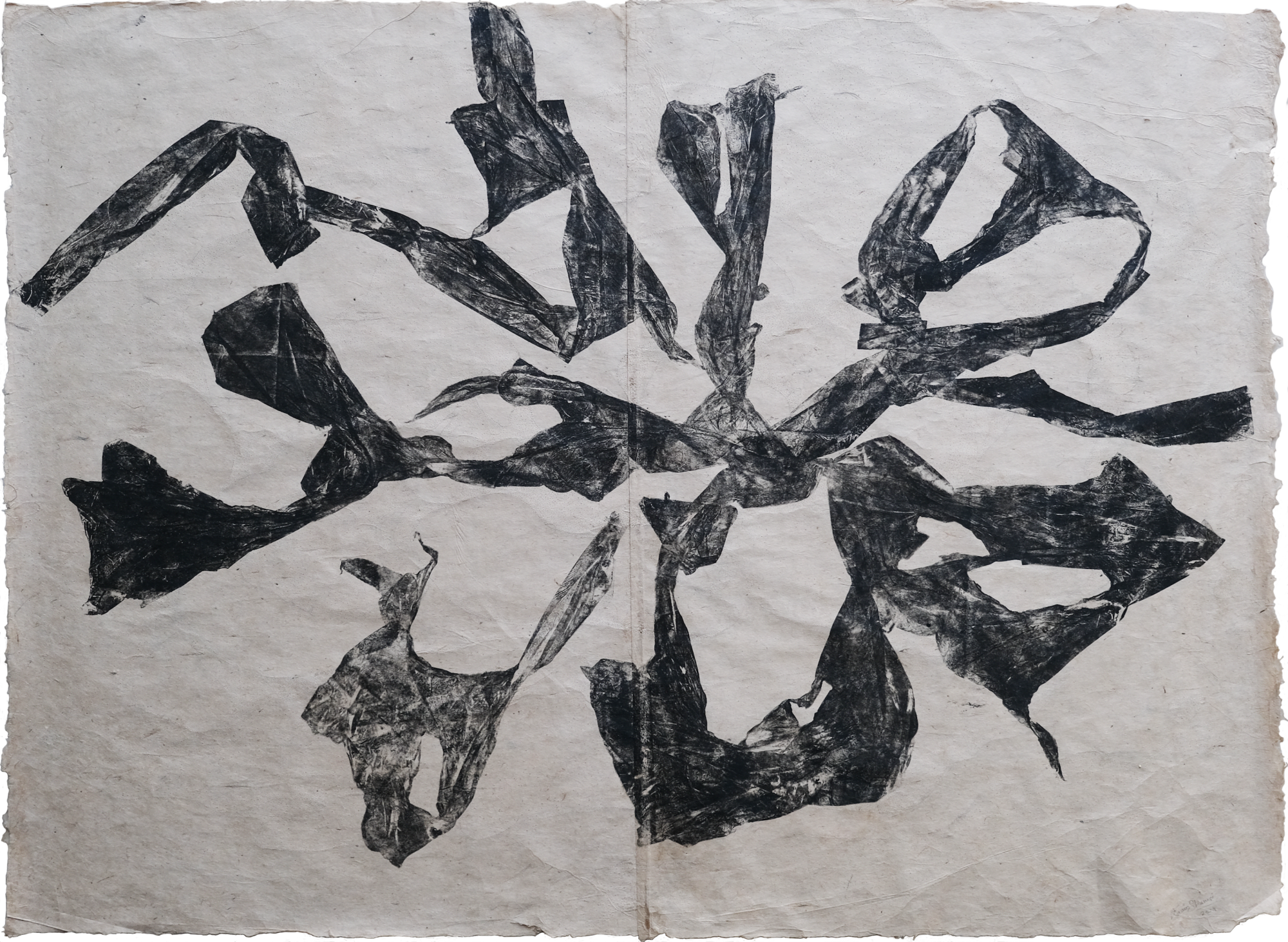 Zarrin-Fatima Shamsi, Within Us 1, 2023