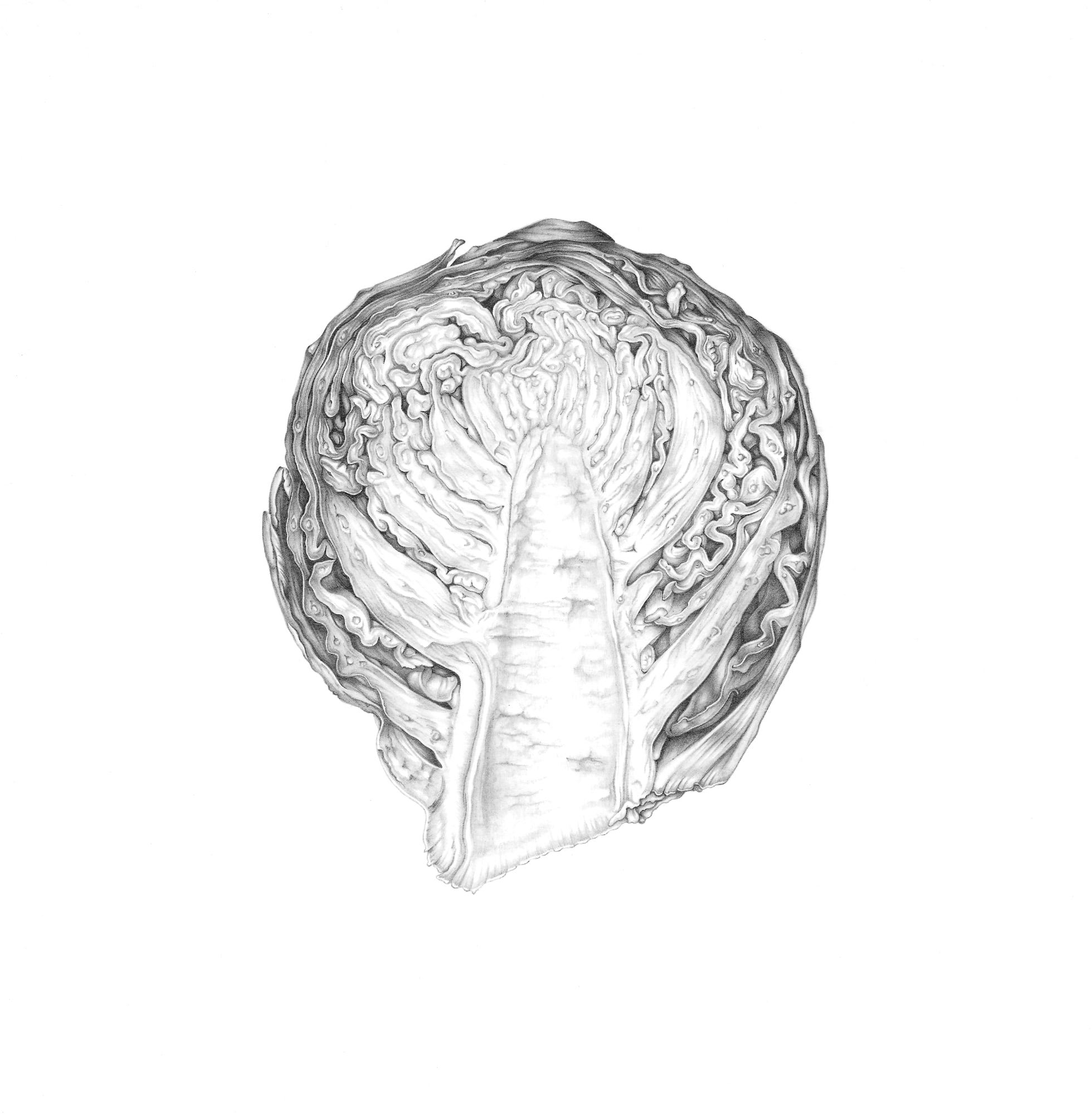 Penny Brown, Brussels Sprout , 2021