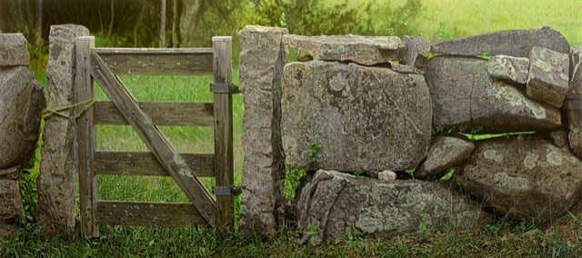 Steve Mills, THE FIELD BEYOND, 2017