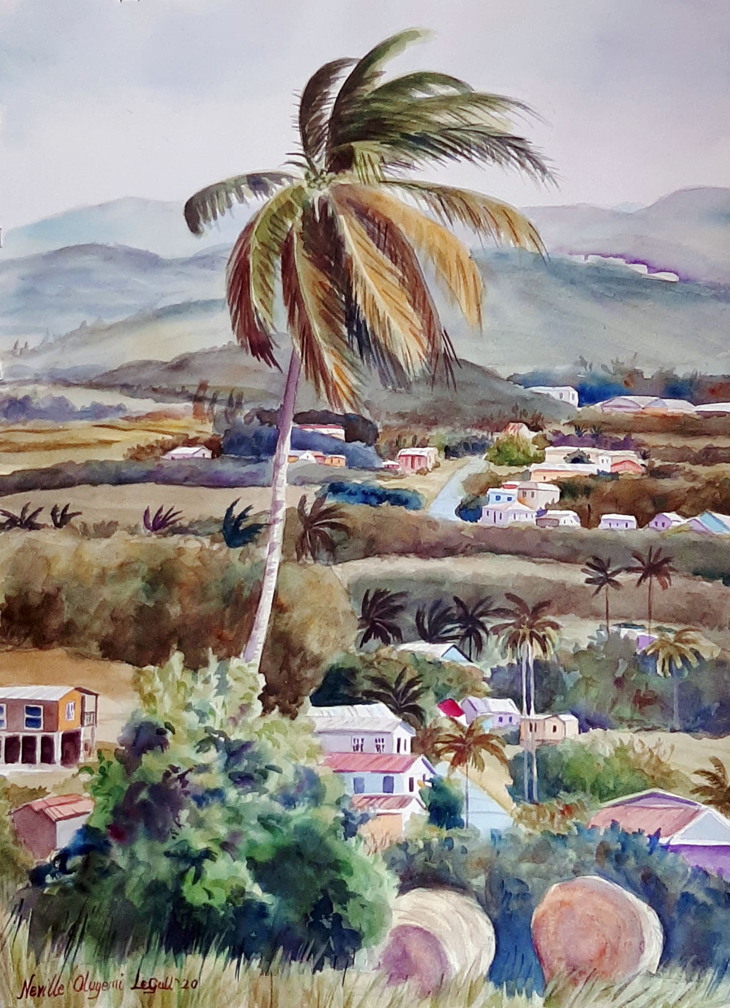 Neville Legall, Tree at Morgan Lewis, 2020
