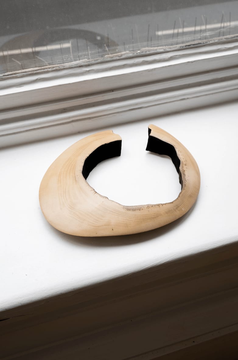 Richard WM Hudson, N.E.P (Negative Energy Protector)