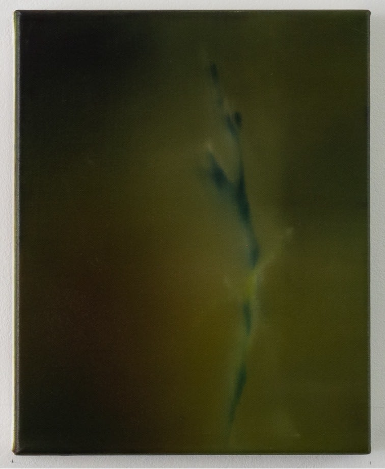 Emma Tod, Germinal, 2023