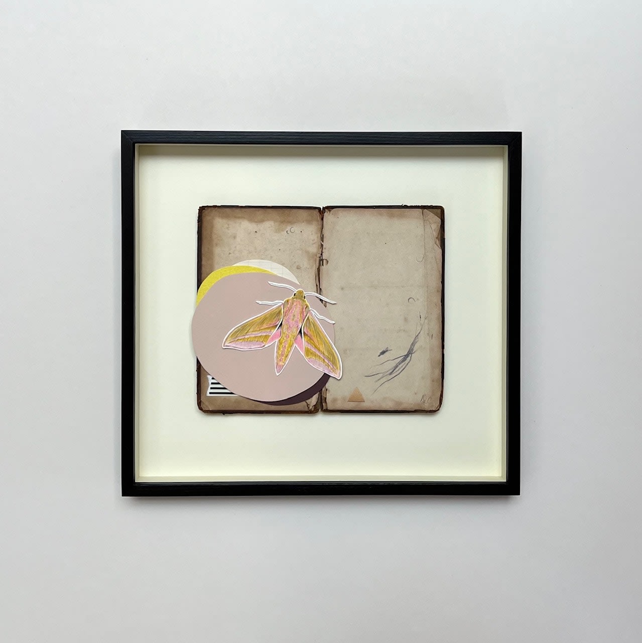 Ele Grafton, Elephant Hawk Composition, 2023