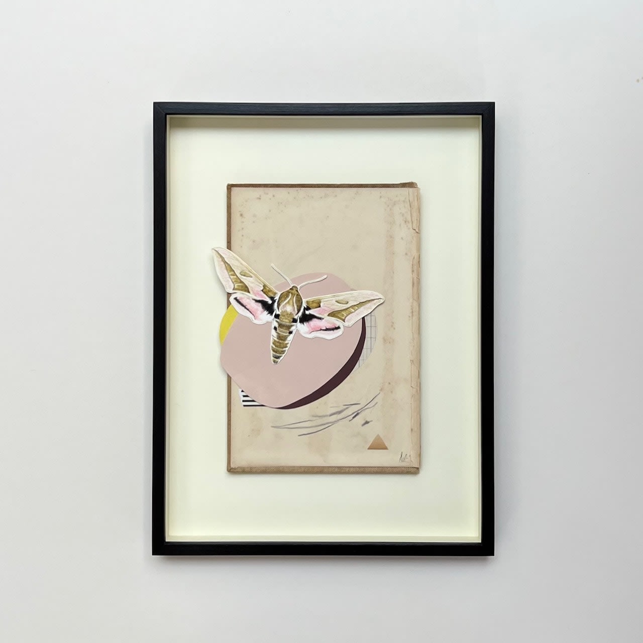 Ele Grafton, Spurge Hawk Composition, 2023