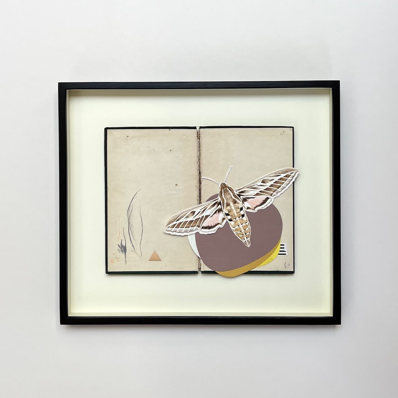 Ele Grafton, Striped Hawk Composition, 2023