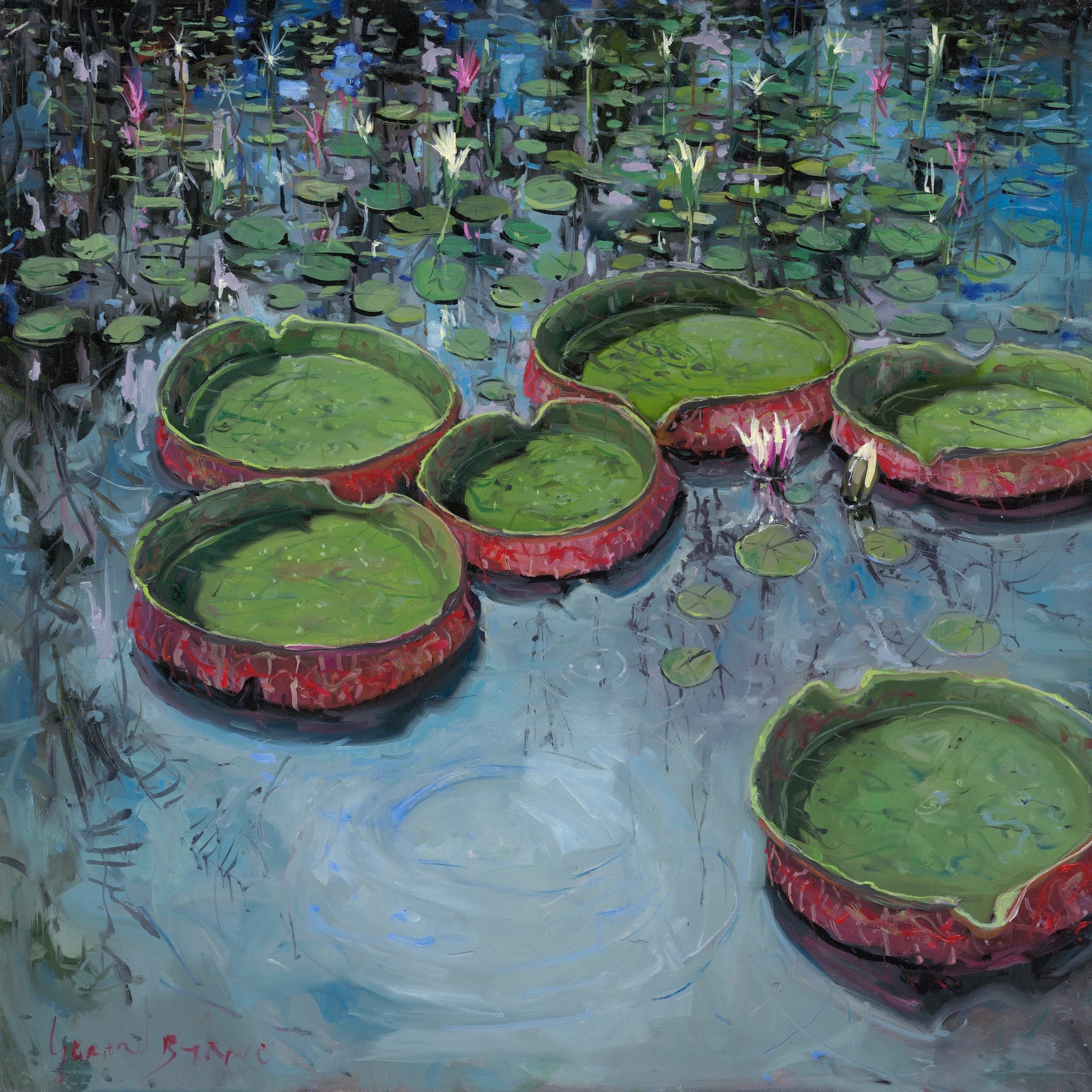 Gerard Byrne, Victoria Water Lilies