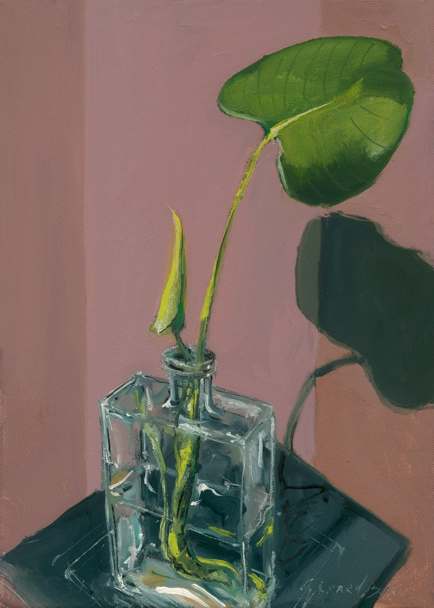 Gerard Byrne, Curious Leaves. Baby Monstera I, 2021
