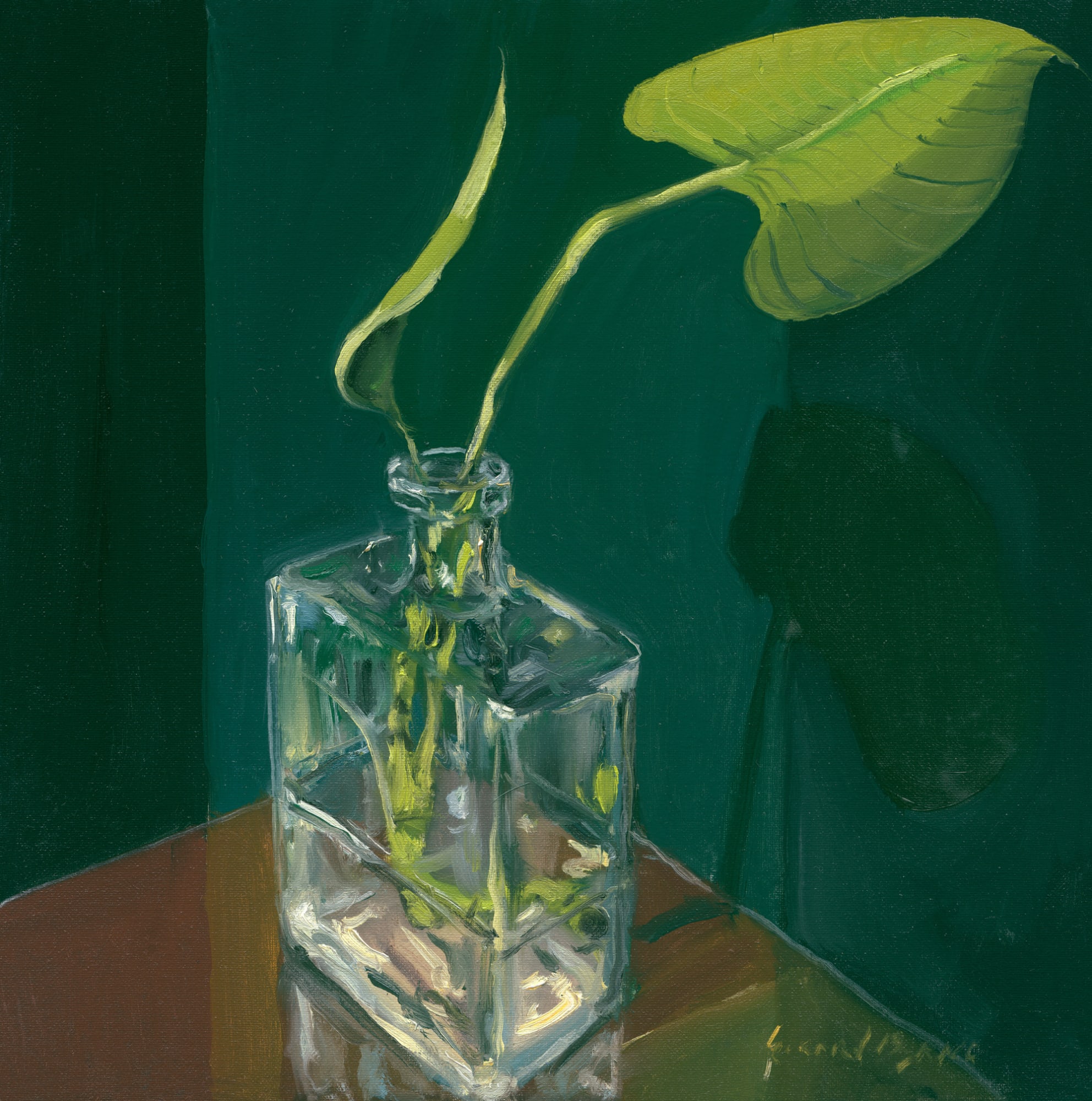 Gerard Byrne, Curious Leaves. Baby Monstera II, 2021