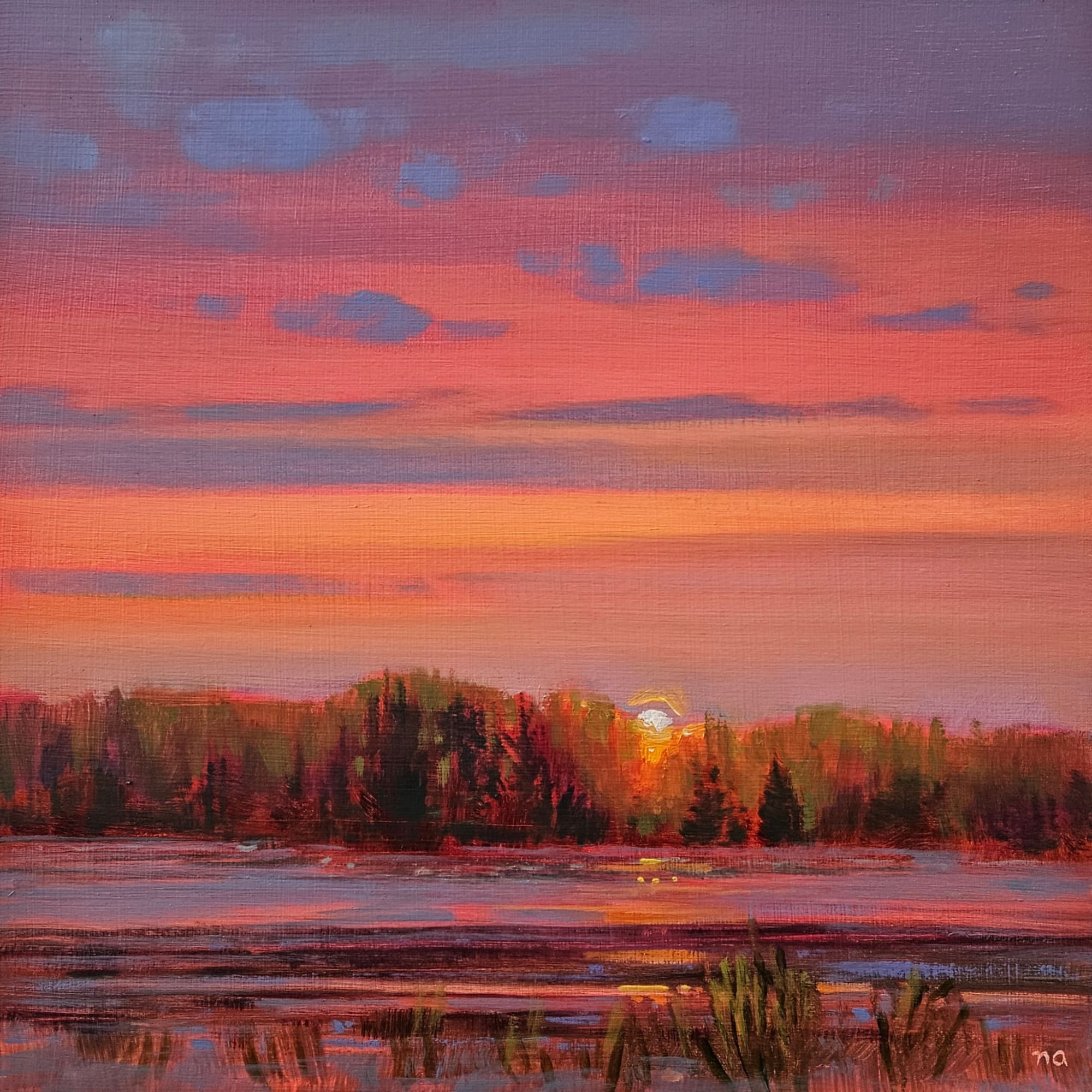 Nicki Ault, Wetlands Aglow