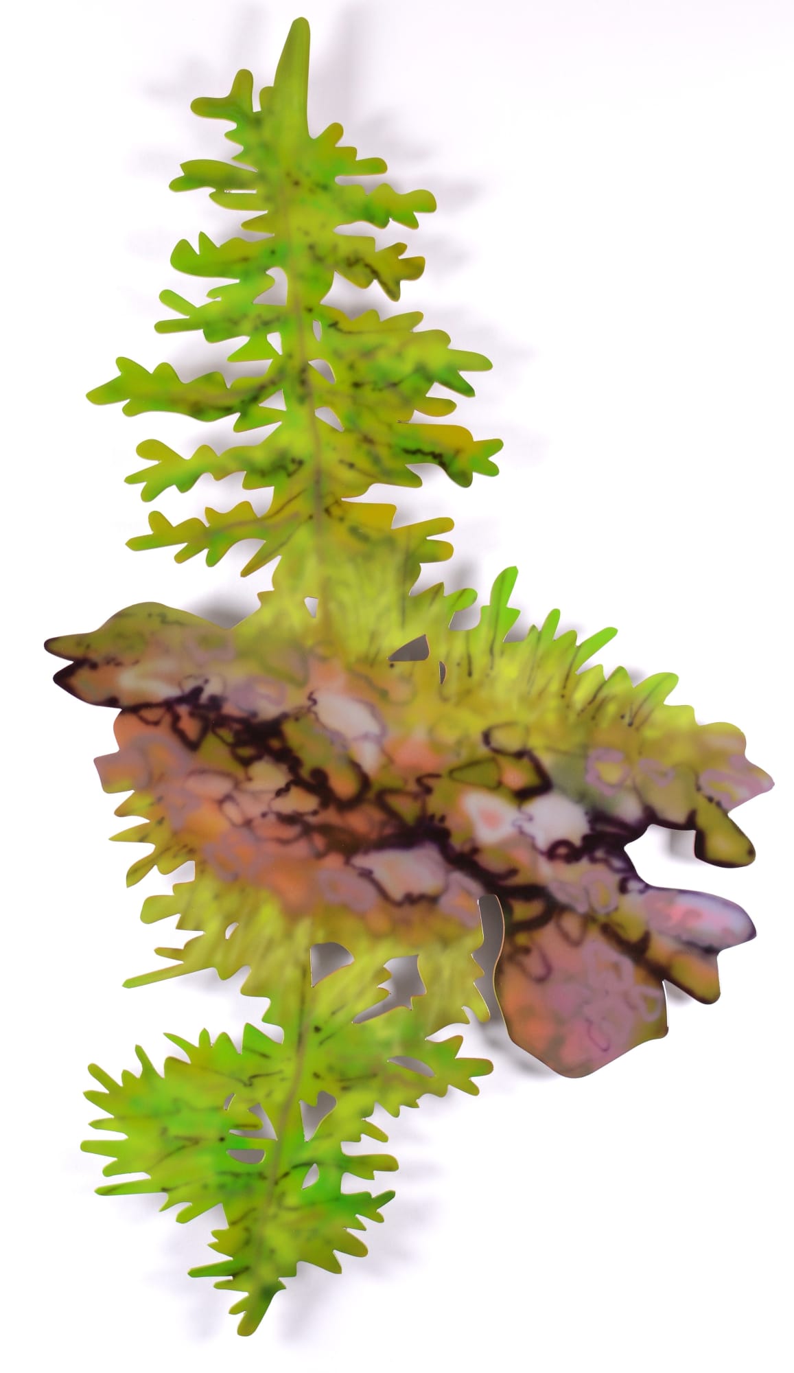 Sheila Kernan, The Shape of Me