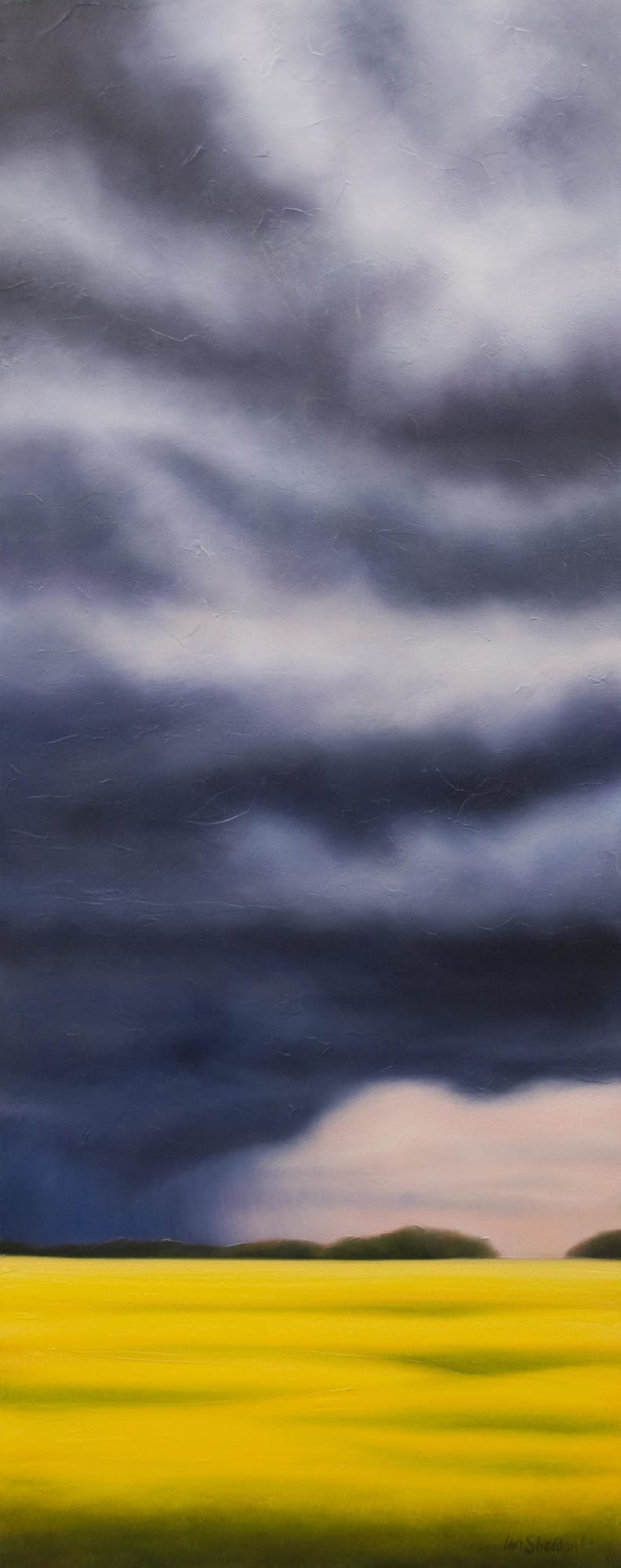 Ian Sheldon, Tall Power Blues