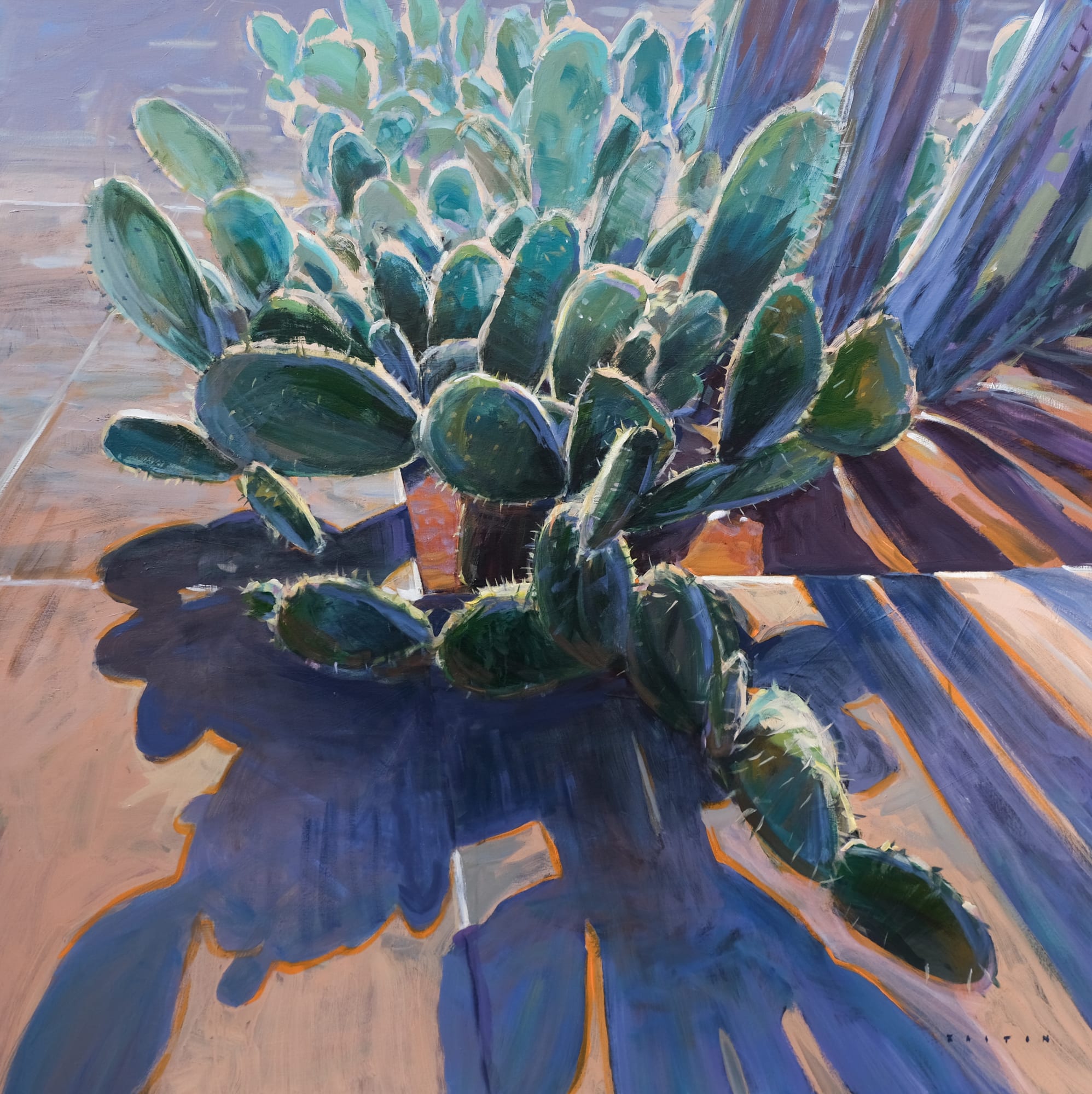 Charlie Easton, Cactus illuminated