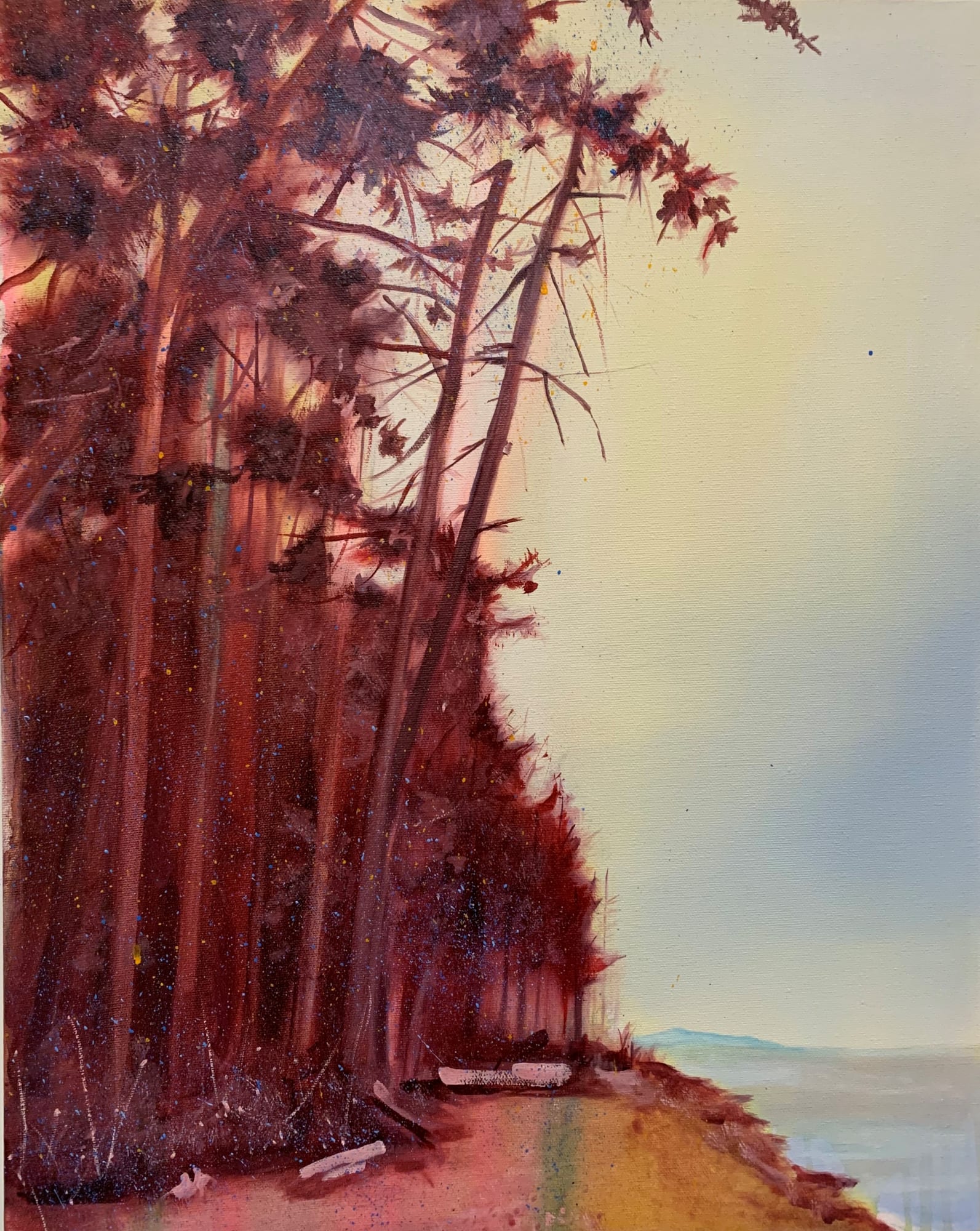 Christopher Friesen, Rathtrevor Down Beach