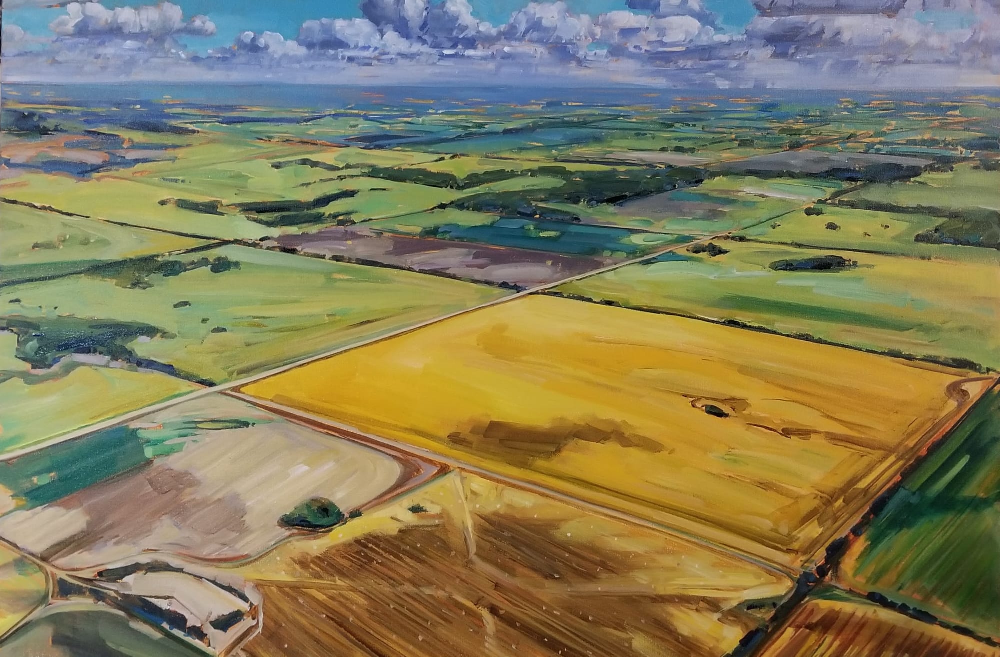 Holly Dyrland, Bird's Eye View