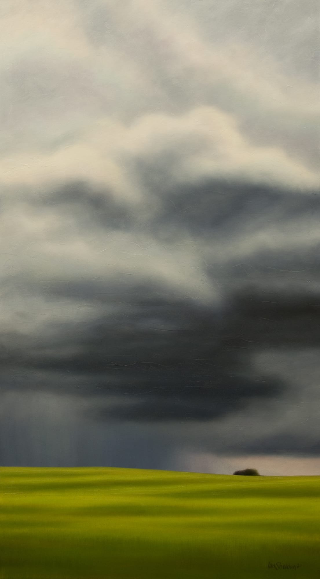 Ian Sheldon, Prairie Cloud Palette