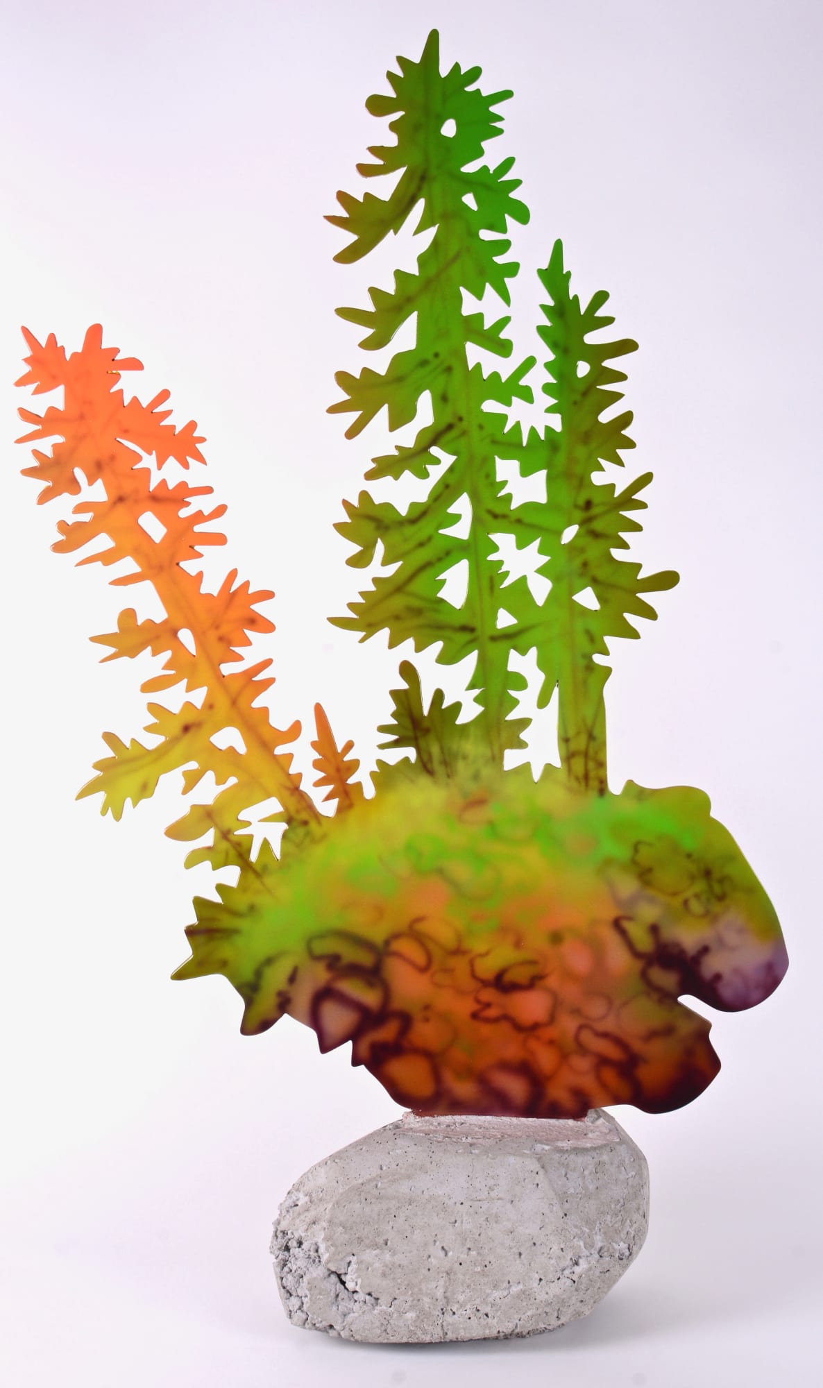 Sheila Kernan, Goldie’s