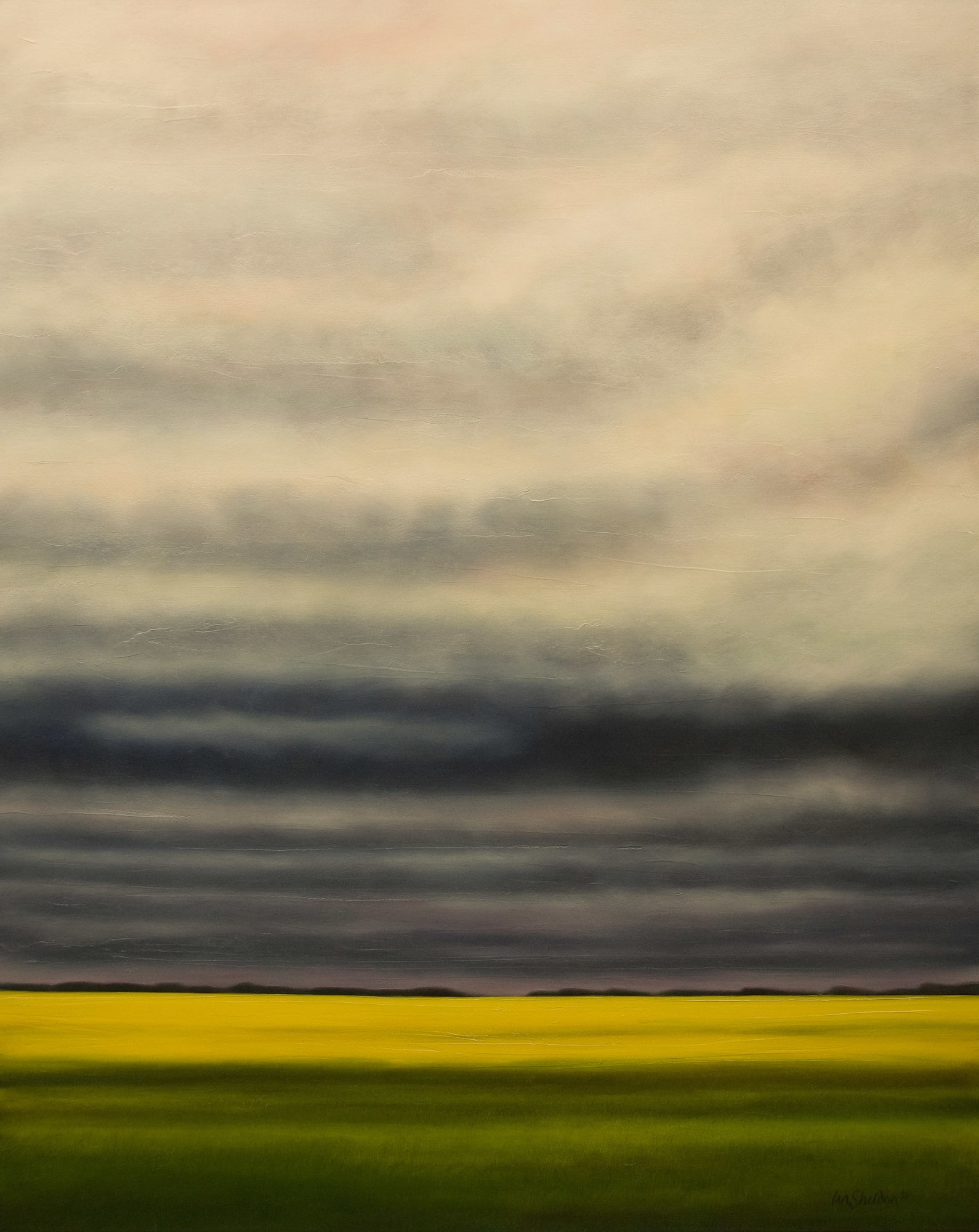 Ian Sheldon, Saskatchewan Elements