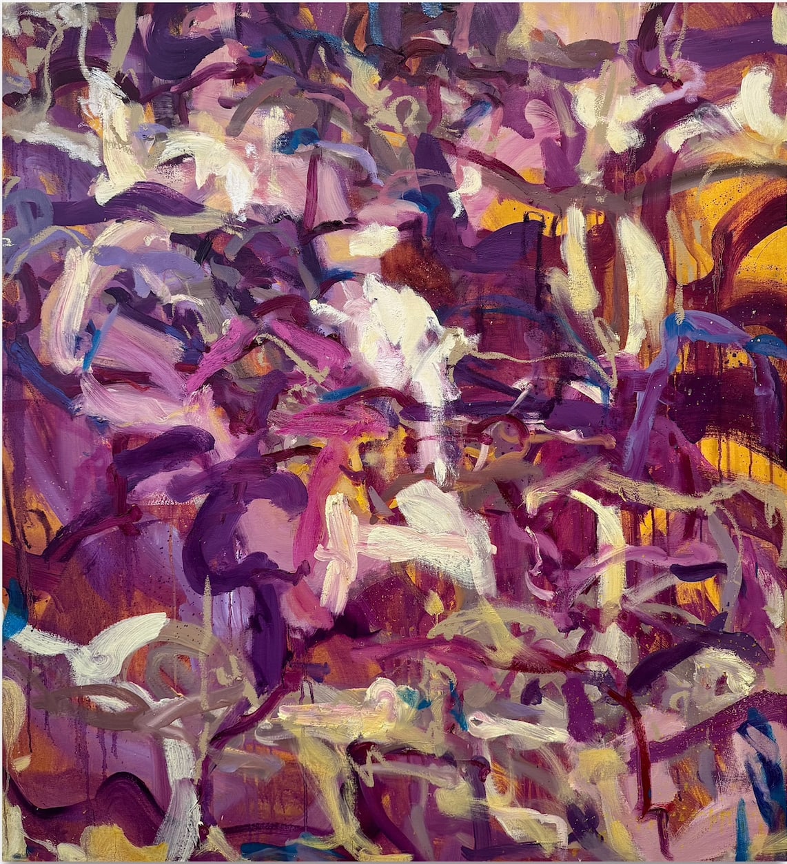 Isabella Amram, Soft Violence, 2025