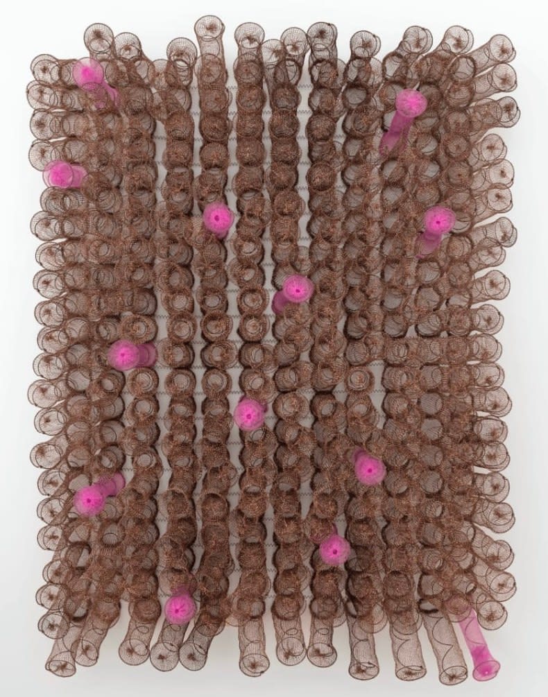 Bronwyn Katz, |garu |’amiros, 2022