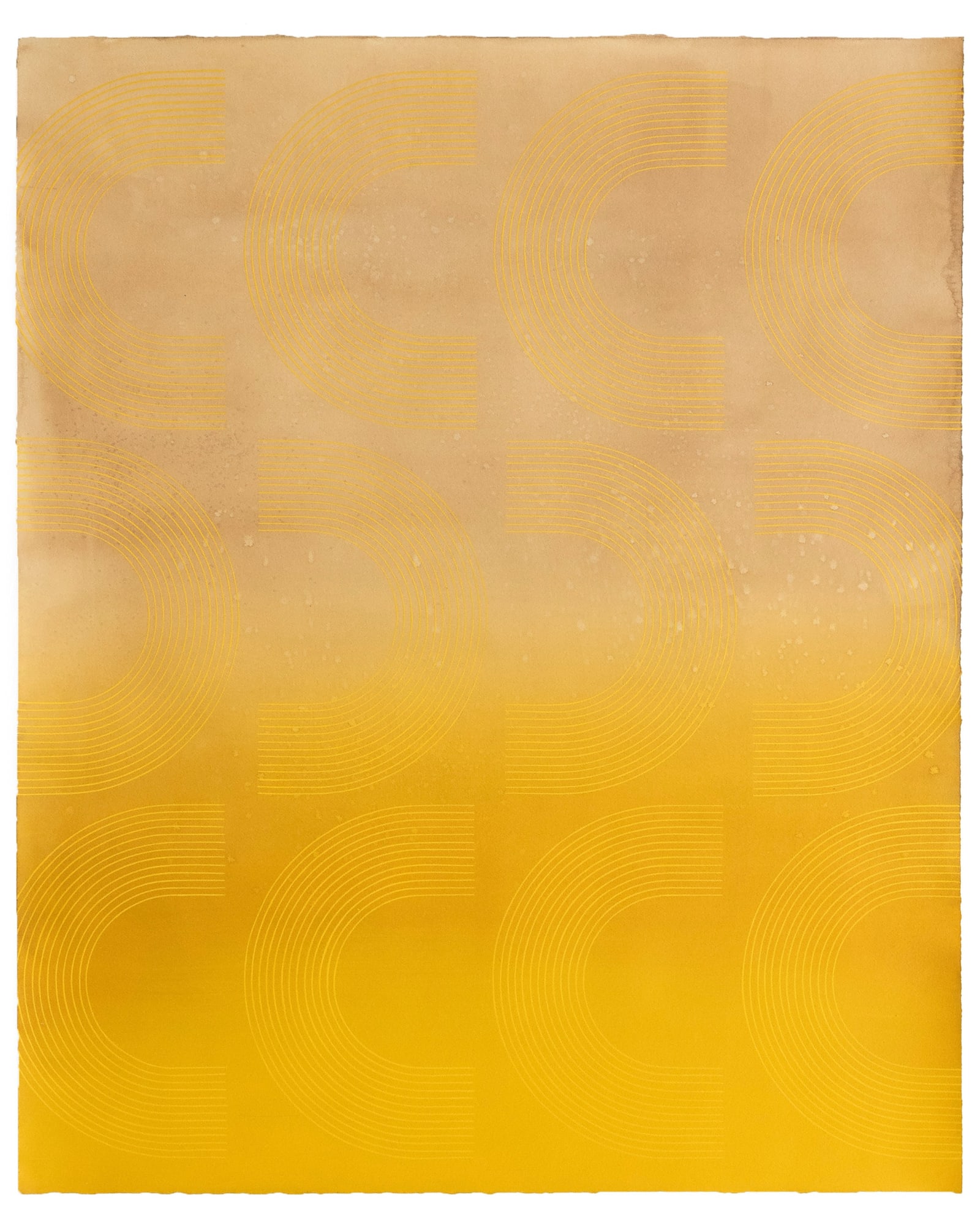 Kelly Ording, Sundowns