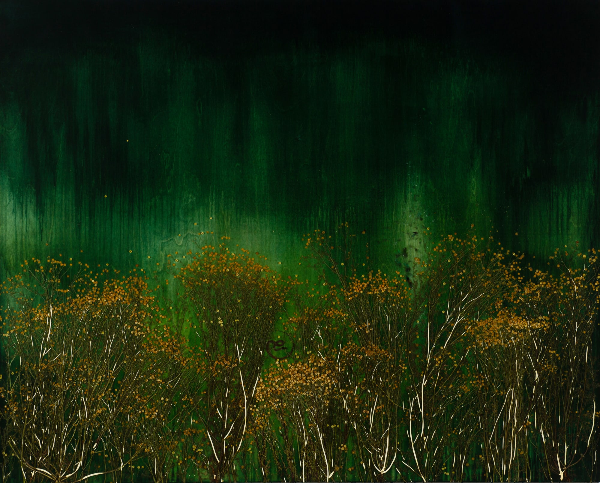 Mayme Kratz, Dark Garden 8