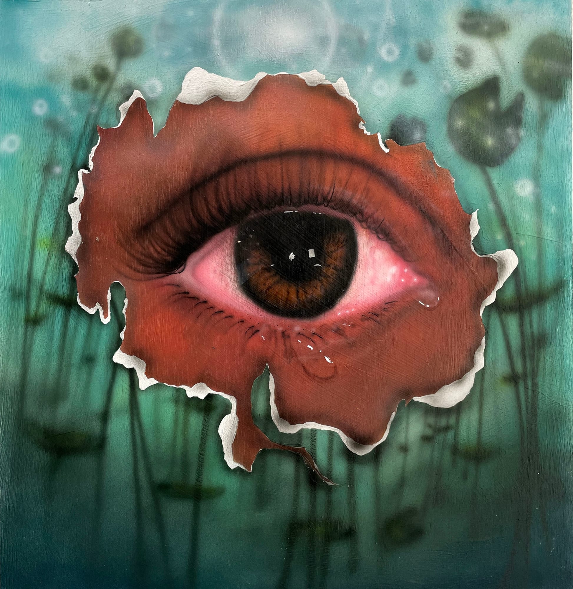 Paije Fuller, Eye, 2022