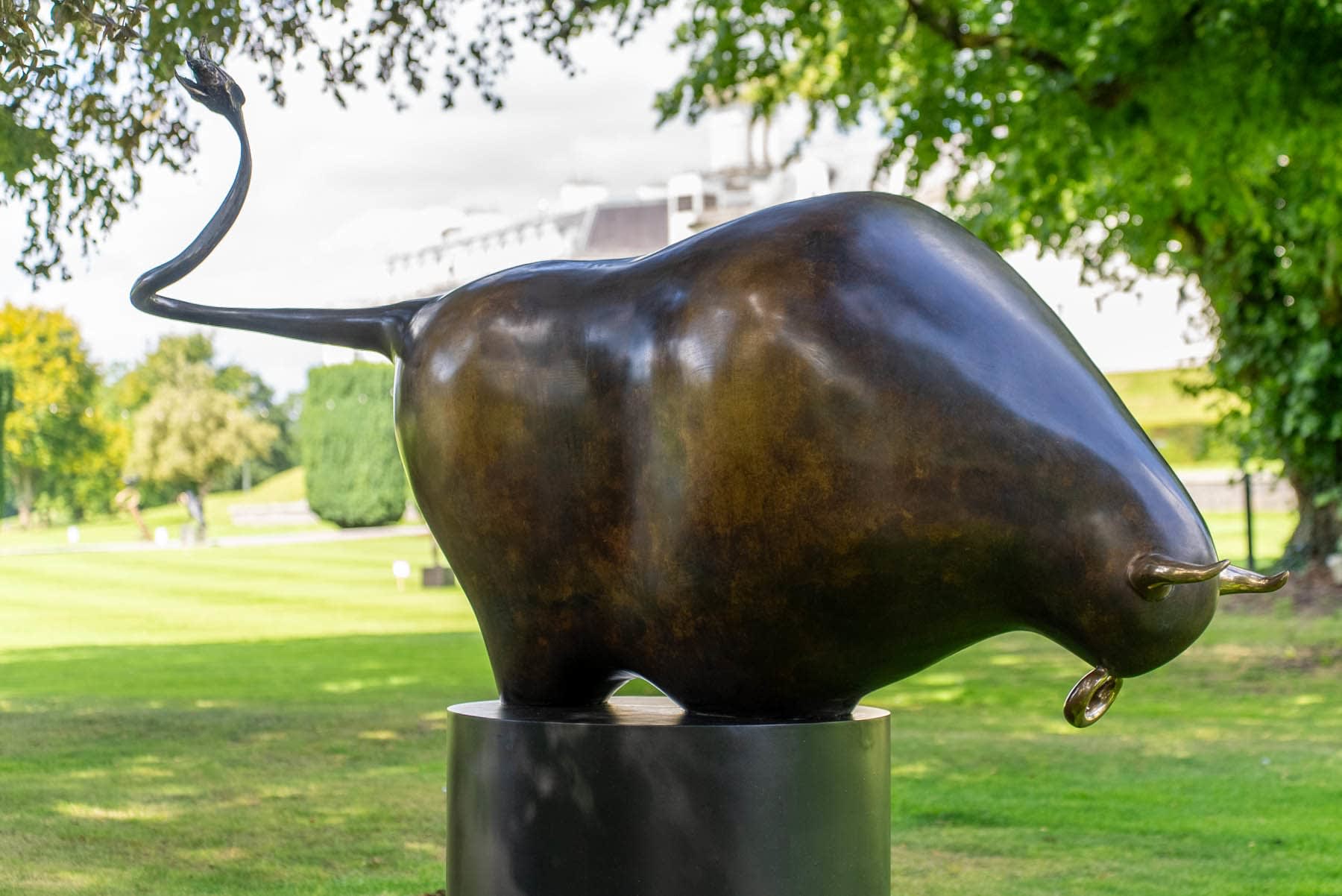 Patrick O'Reilly, Cooley Bull