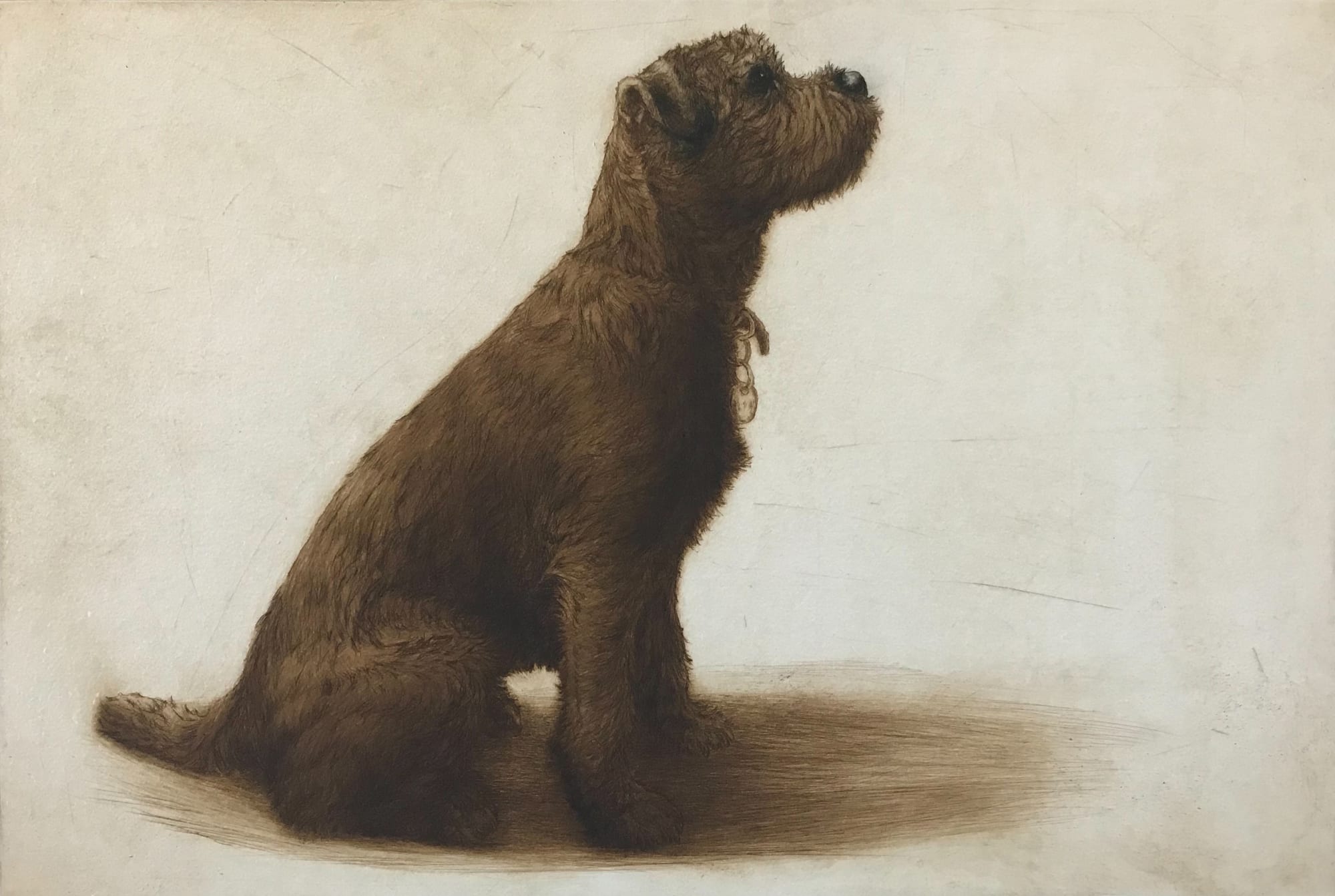 Helen Fay, Pickle, 2020