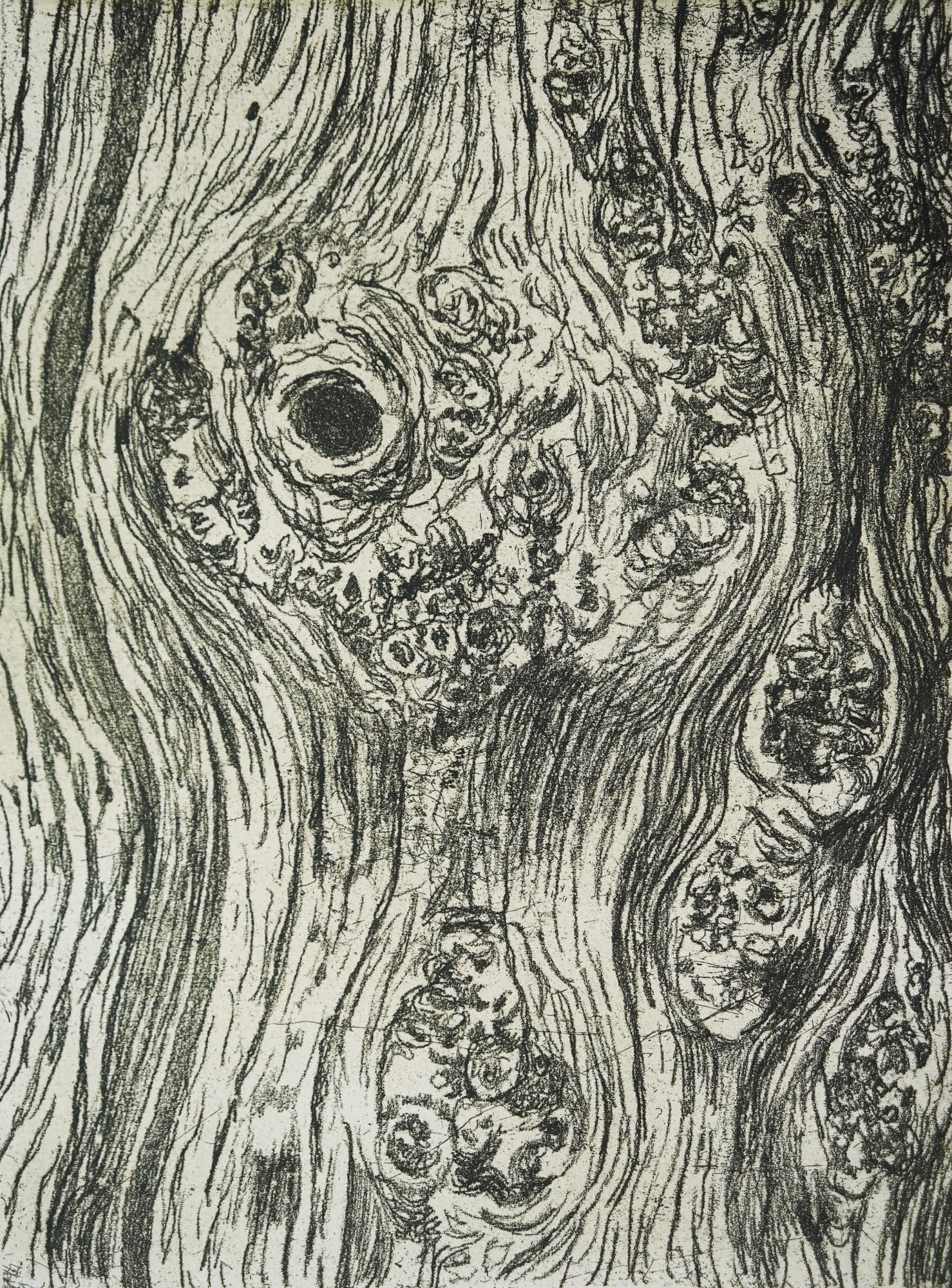 Zoë Kean, Lifelines, 2024