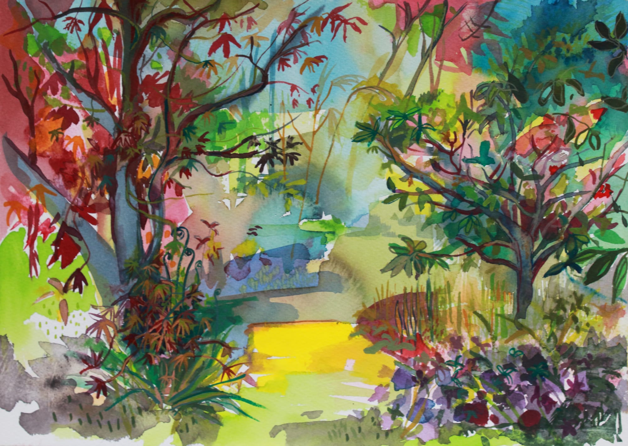 Rosemary Beaton, Acer, 2020