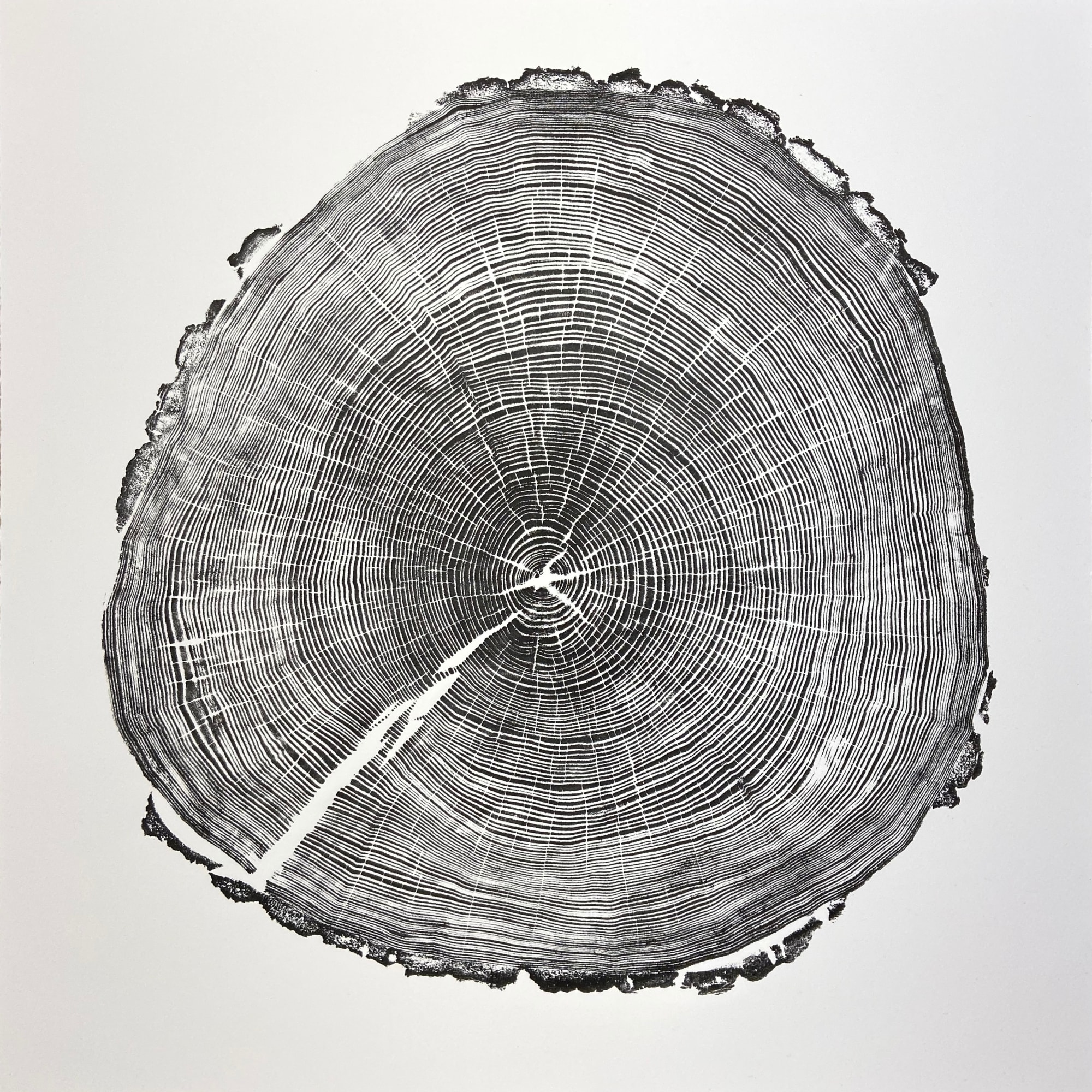 Alan Cameron, Ash III, 2023