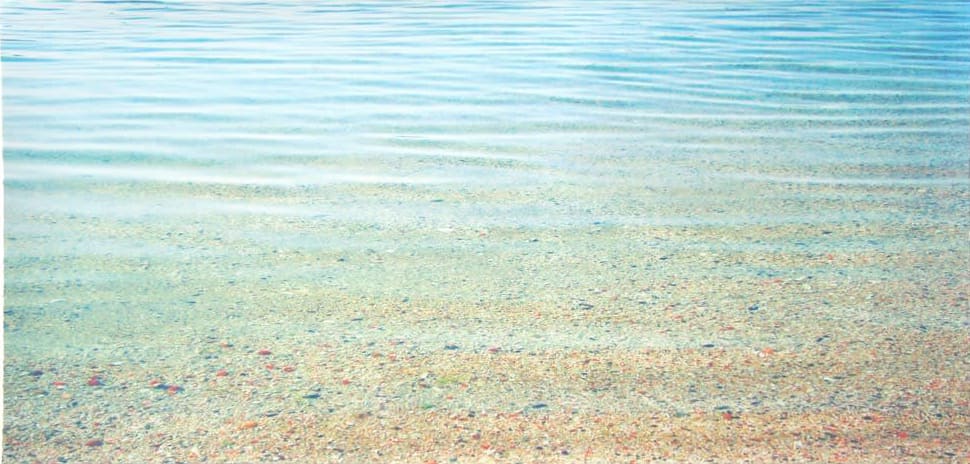 John Mackechnie, North Truro, 2012