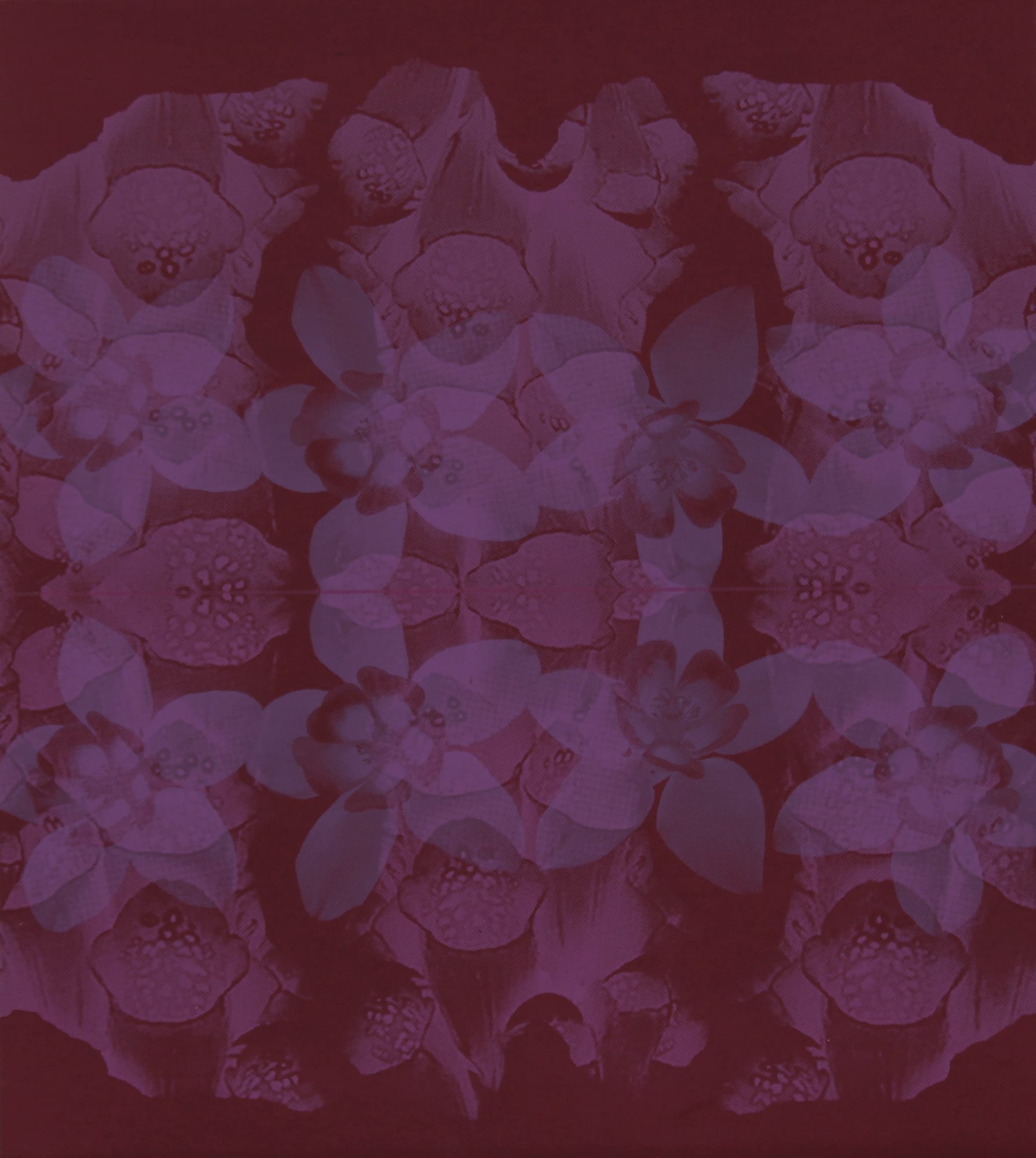 Andrea Cardow, Echoes in Skye, 2024