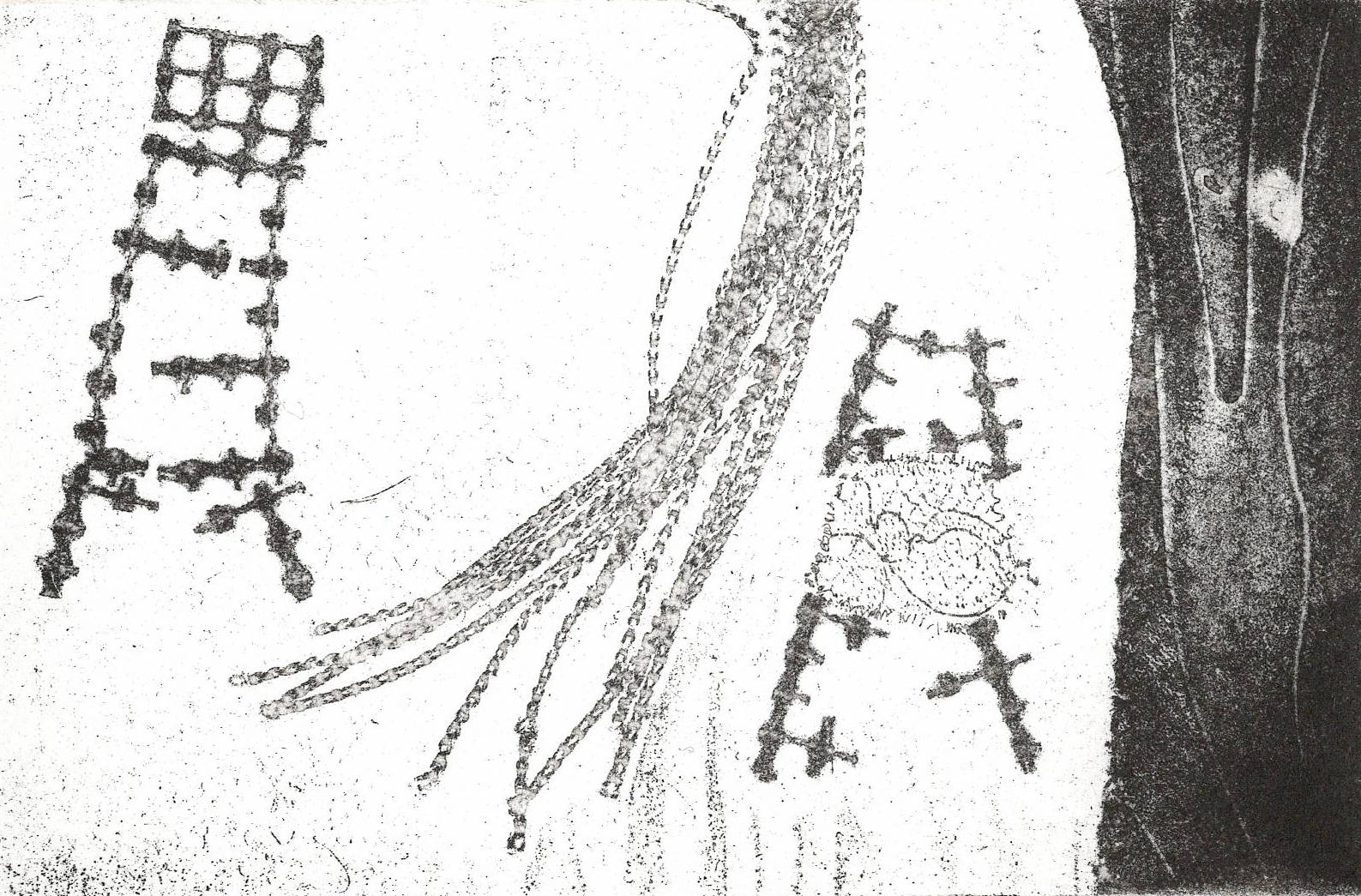 Fouzia Zafar, Not Long Now