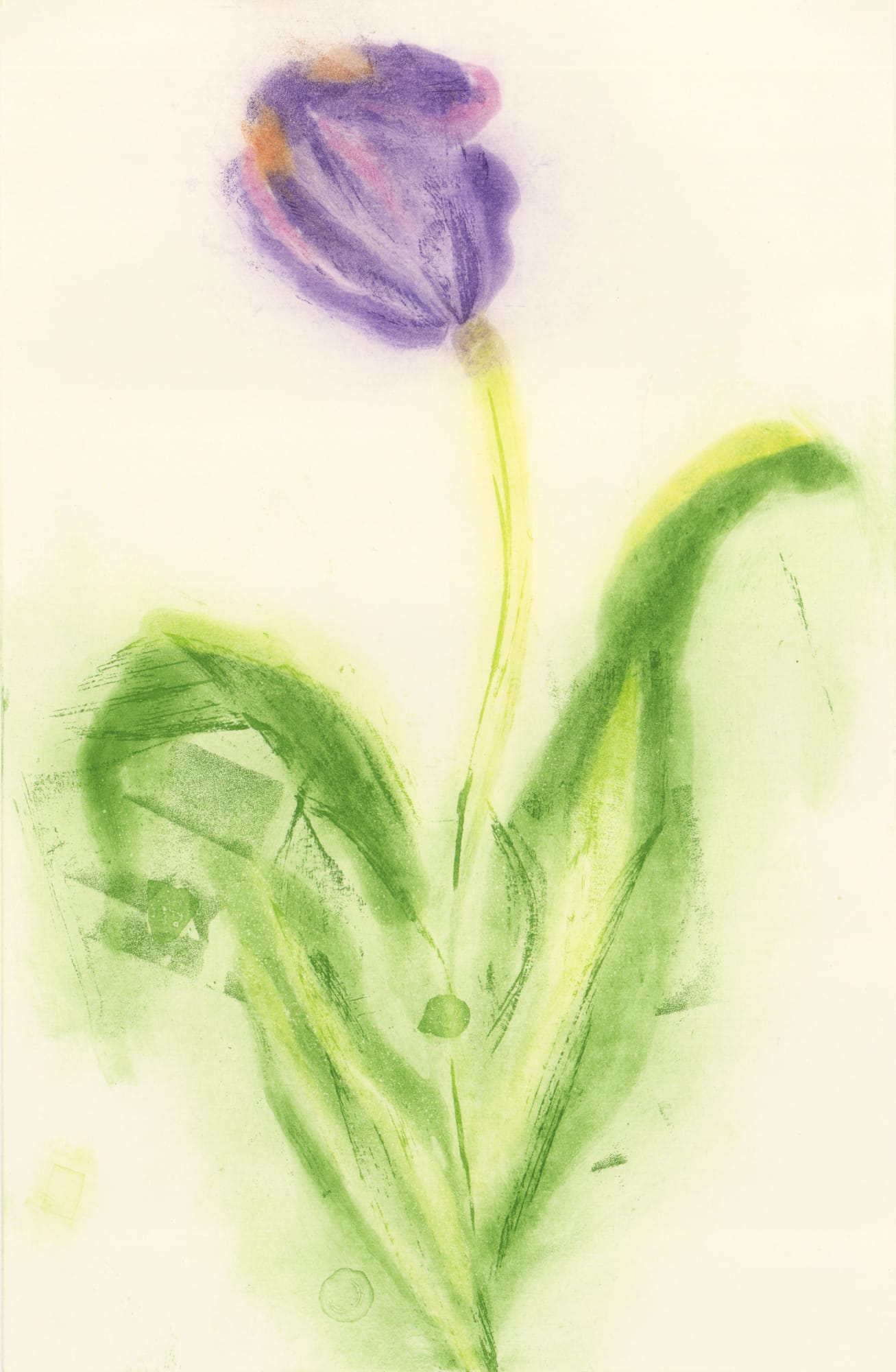 Mary T. Johnson, Tulip in Purple with Plastic Recycling, 2025